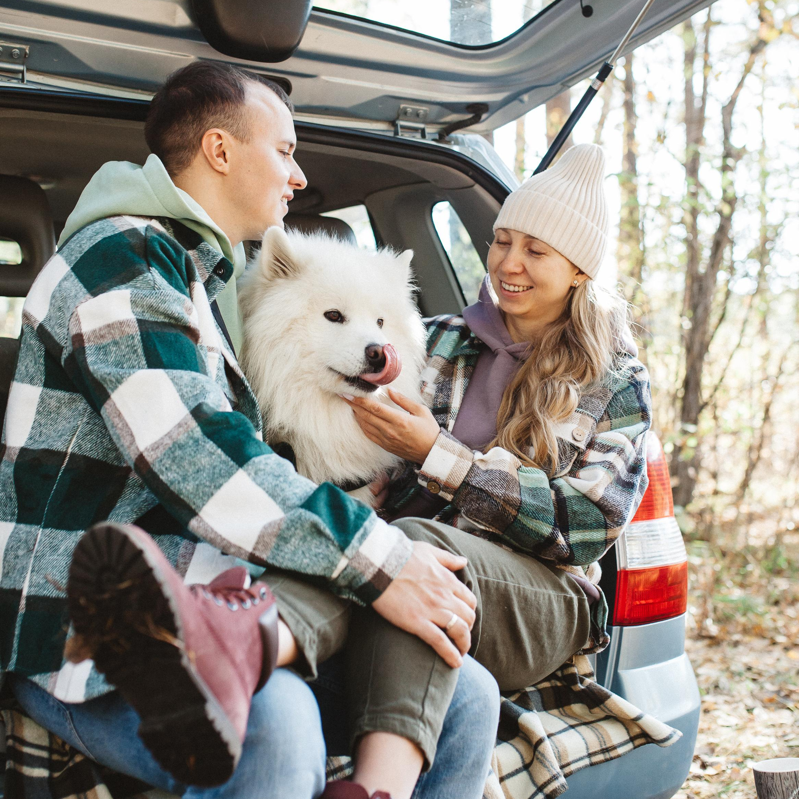 Антон, Надя, Даша, Лёва, бабушка и Циркон