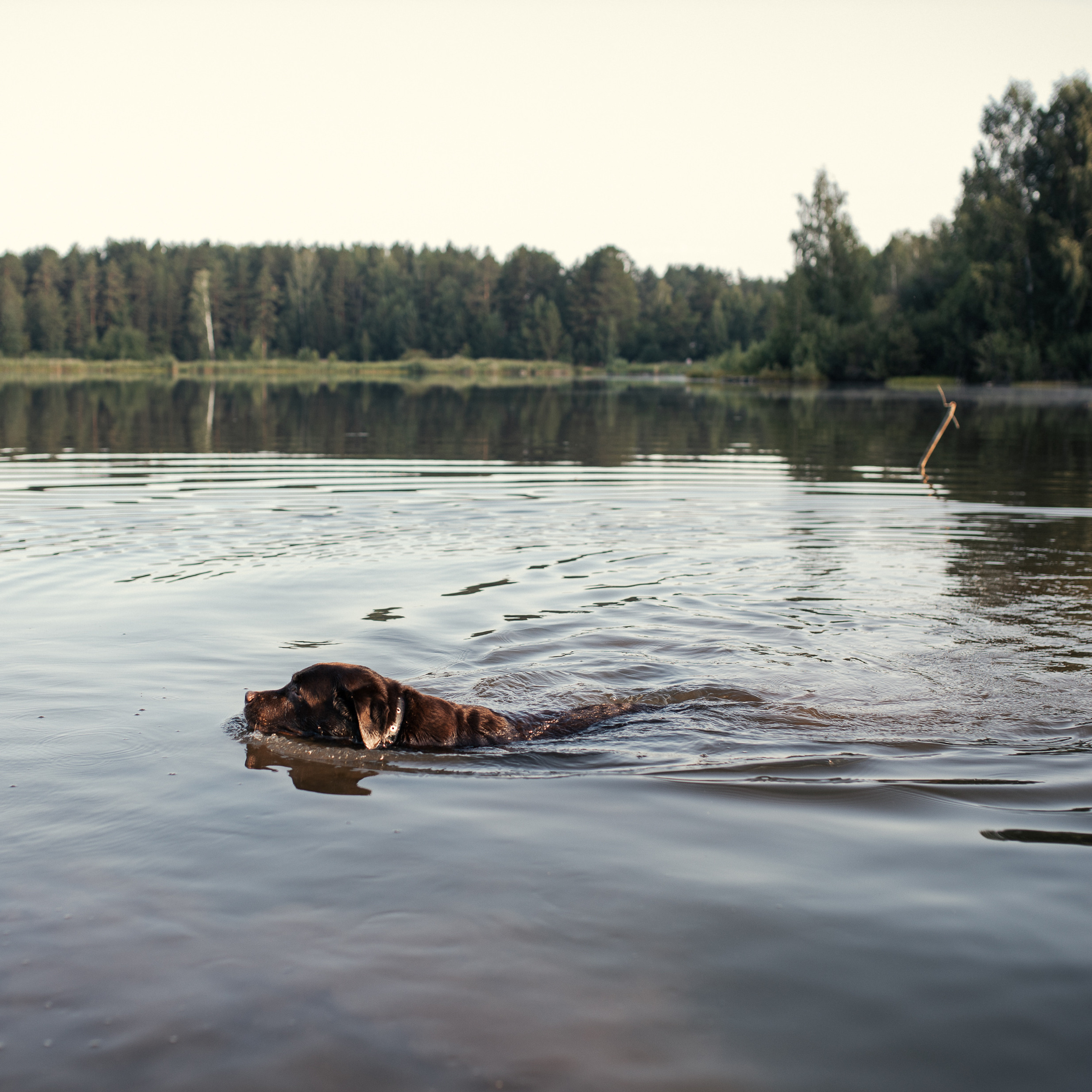 Отзывы. Семейный фотограф Трусова Евгения в Екатеринбурге