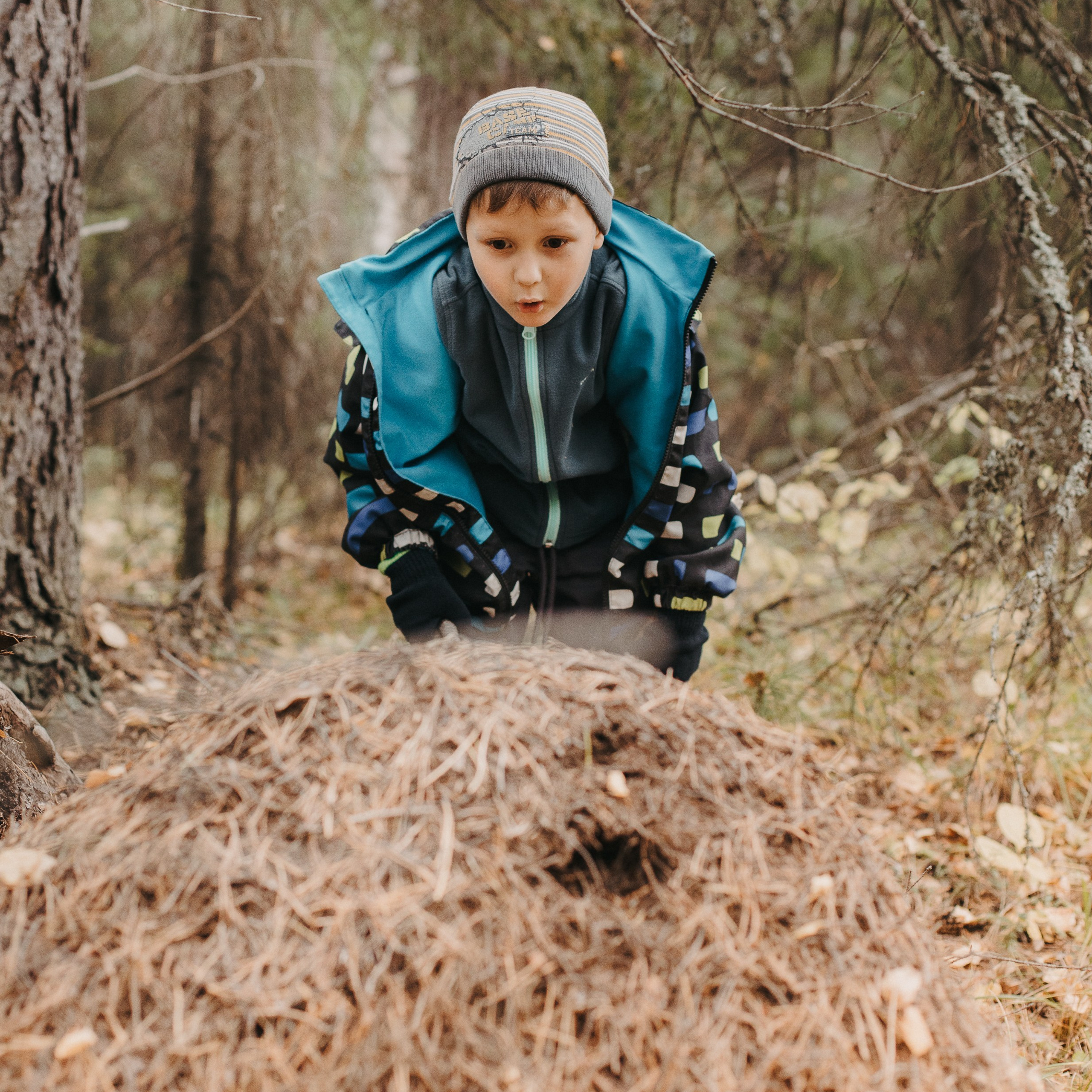 Семь Братьев
