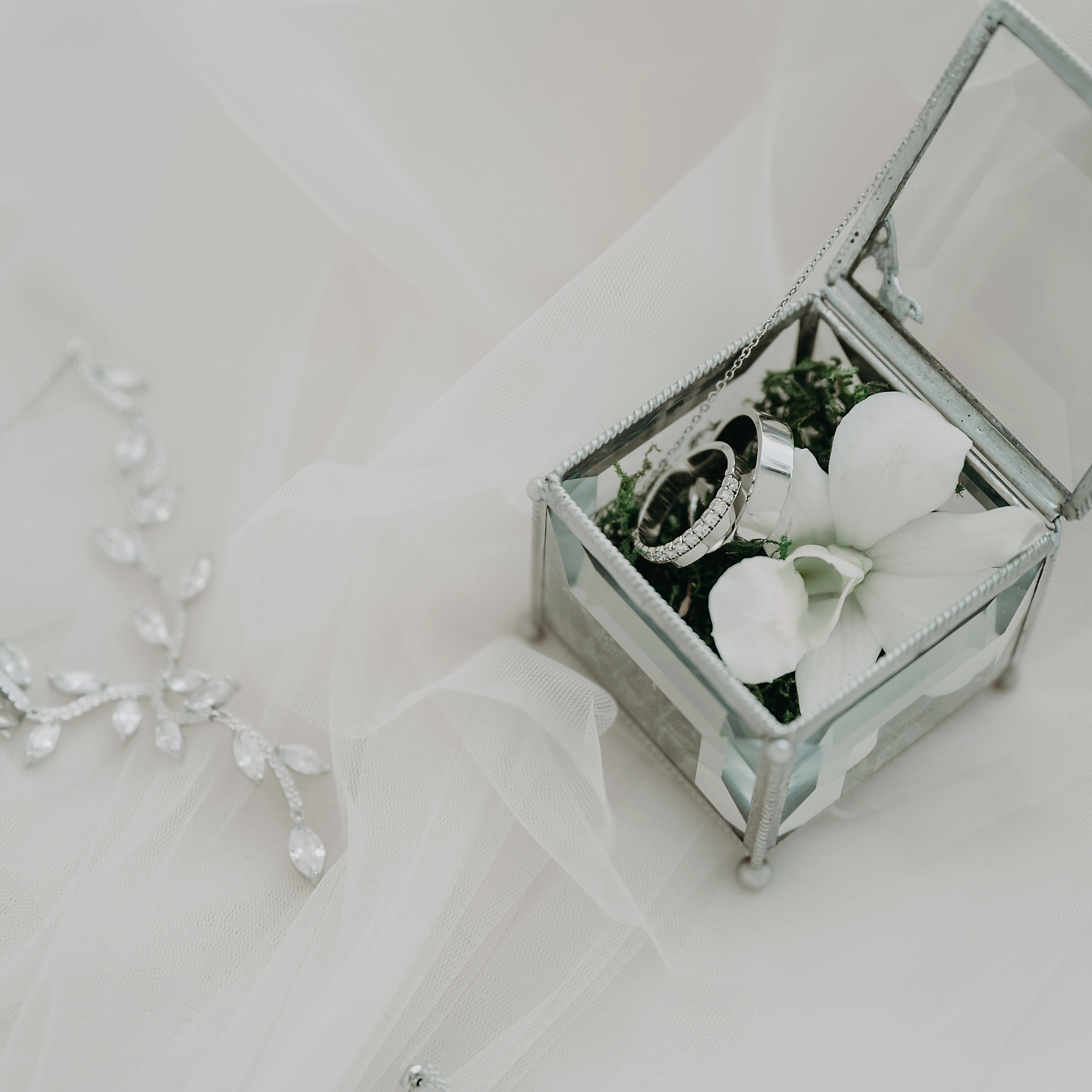 Анна и Виталий Гуськовы | PHOTOGUSSI | Фотографы | Тула | Москва. Семейный и свадебный фотограф в Туле Москве