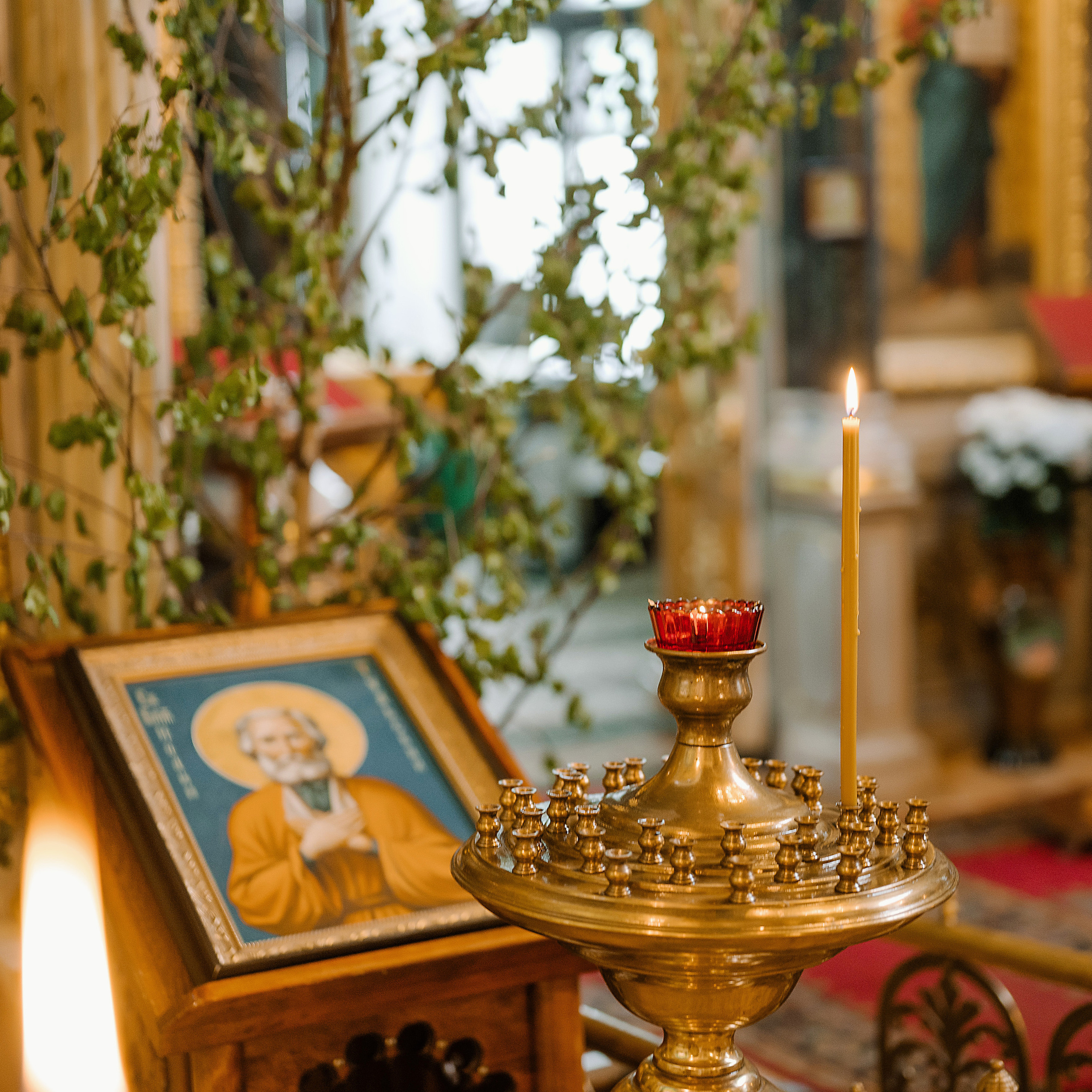 Анна и Виталий Гуськовы | PHOTOGUSSI | Фотографы | Тула | Москва. Семейный и свадебный фотограф в Туле Москве