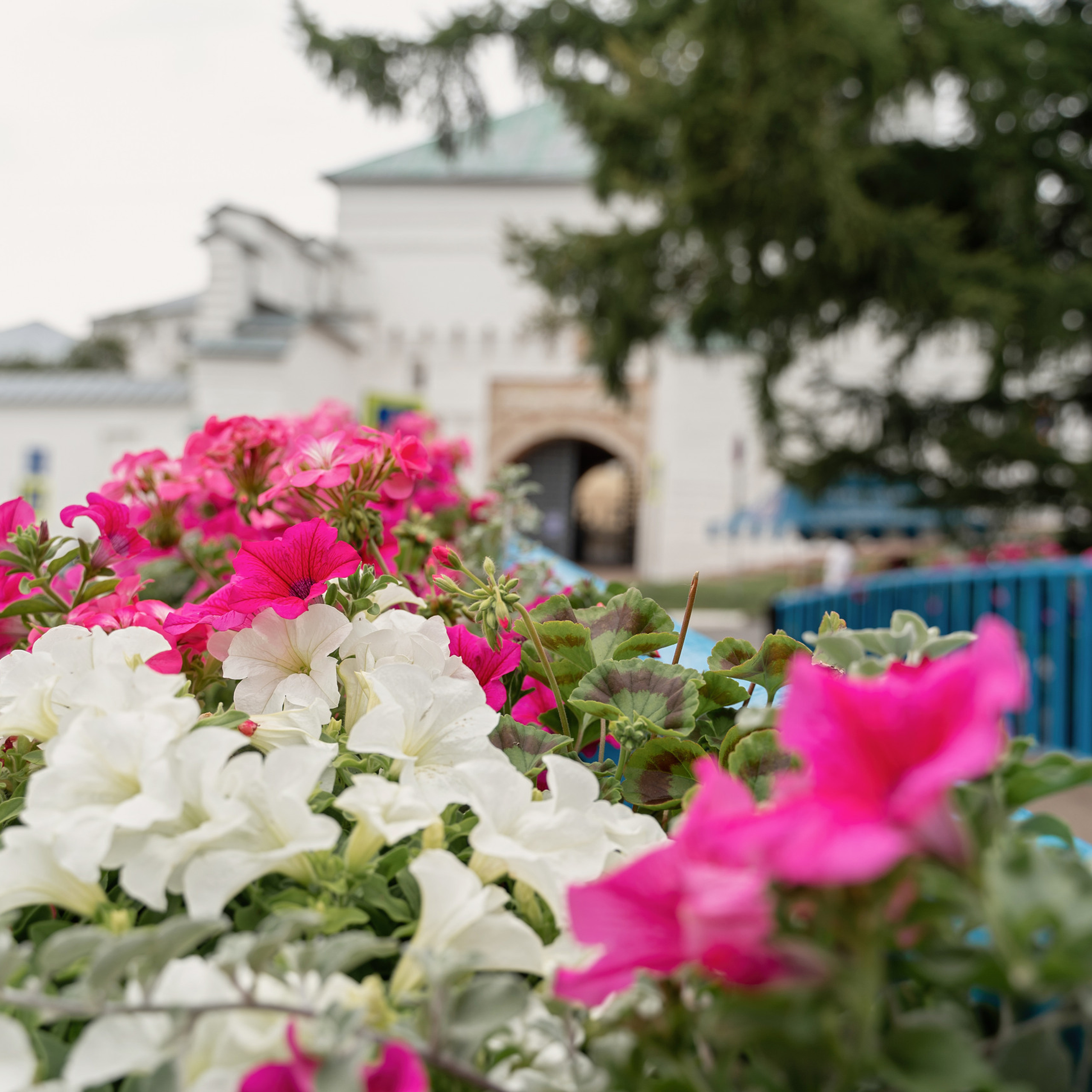 Отзывы. Свадебный и семейный фотограф Ольга Батова в Ярославле