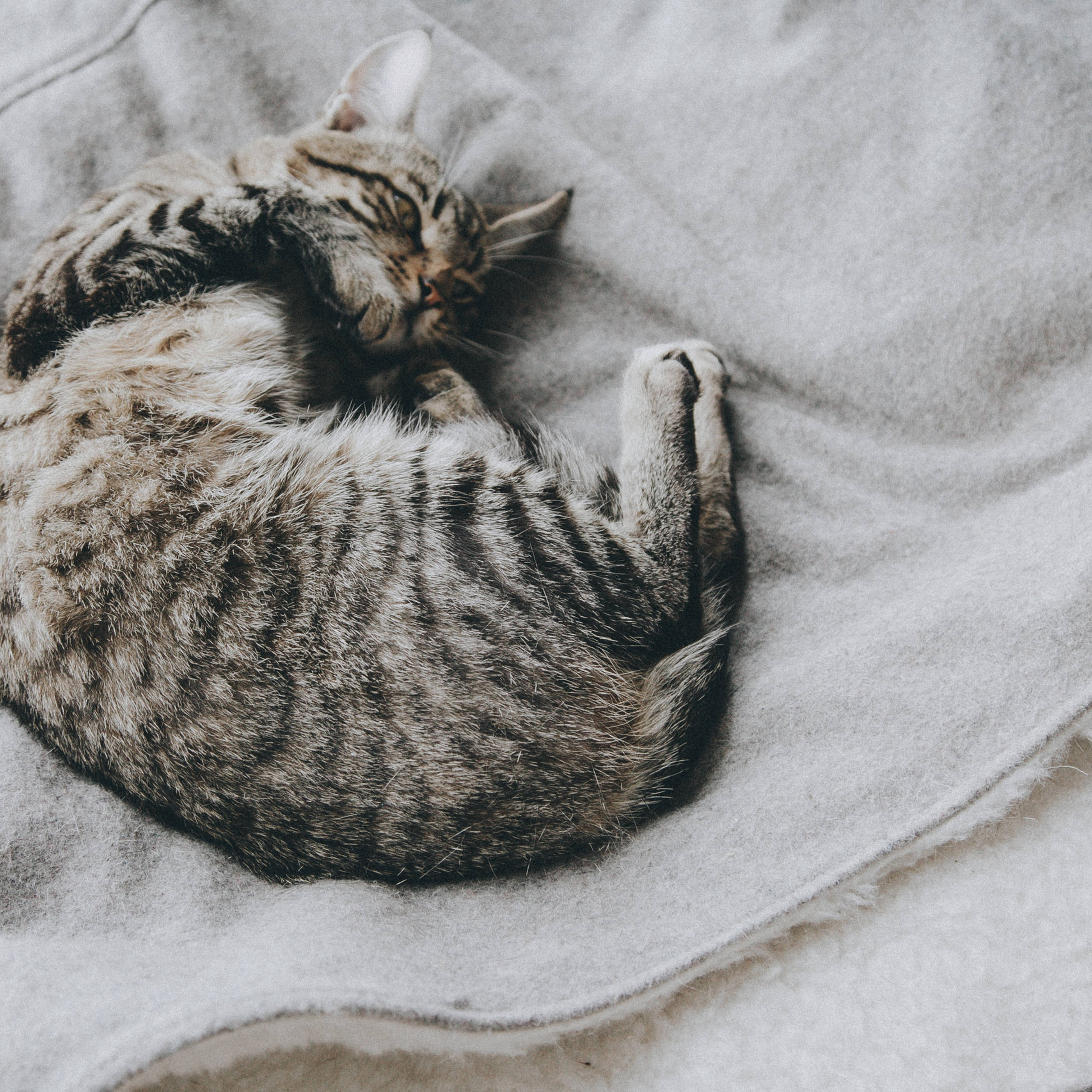 Фотосессии с детьми