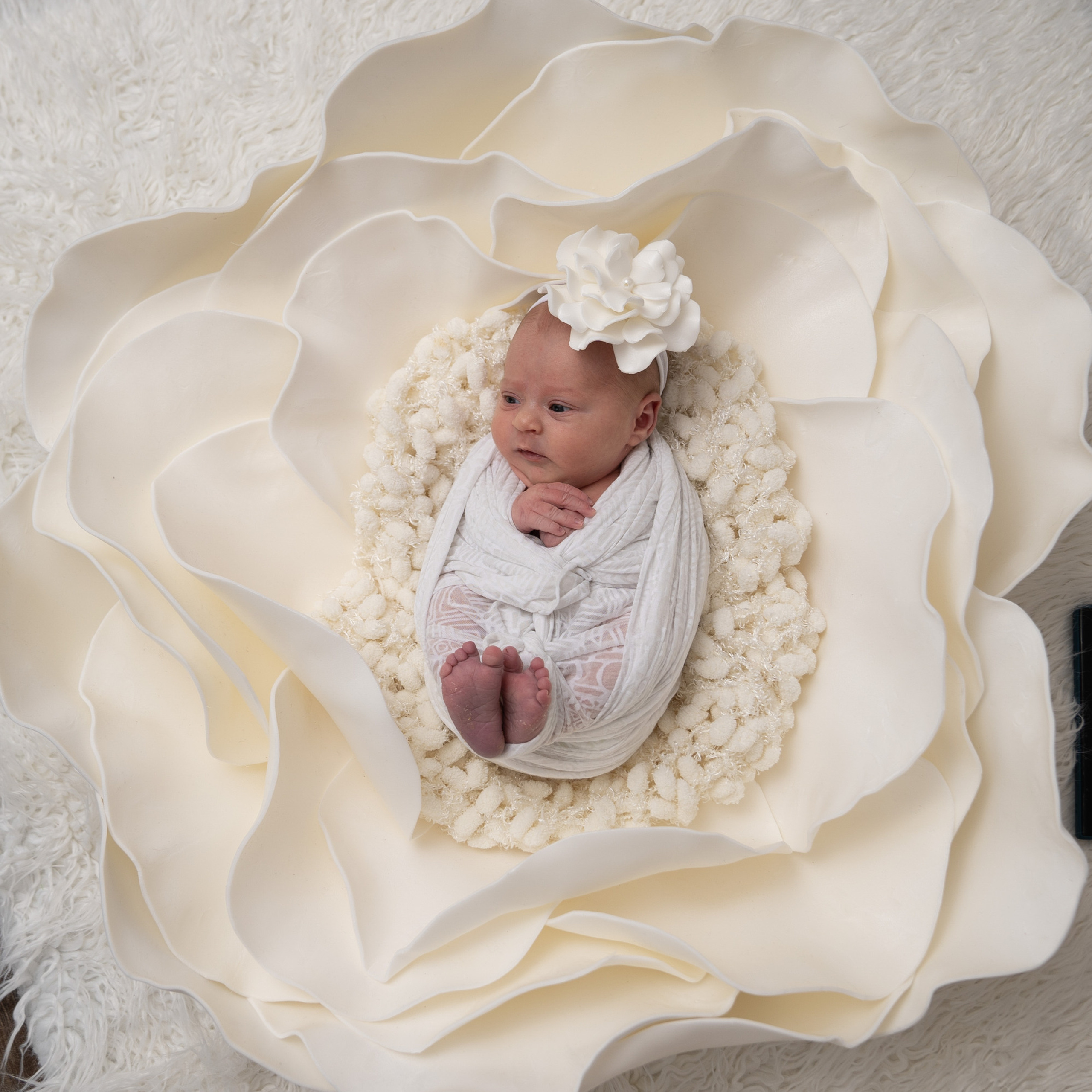 Отзывы. Фотограф новорожденных, детей до года и беременных в Симферополе