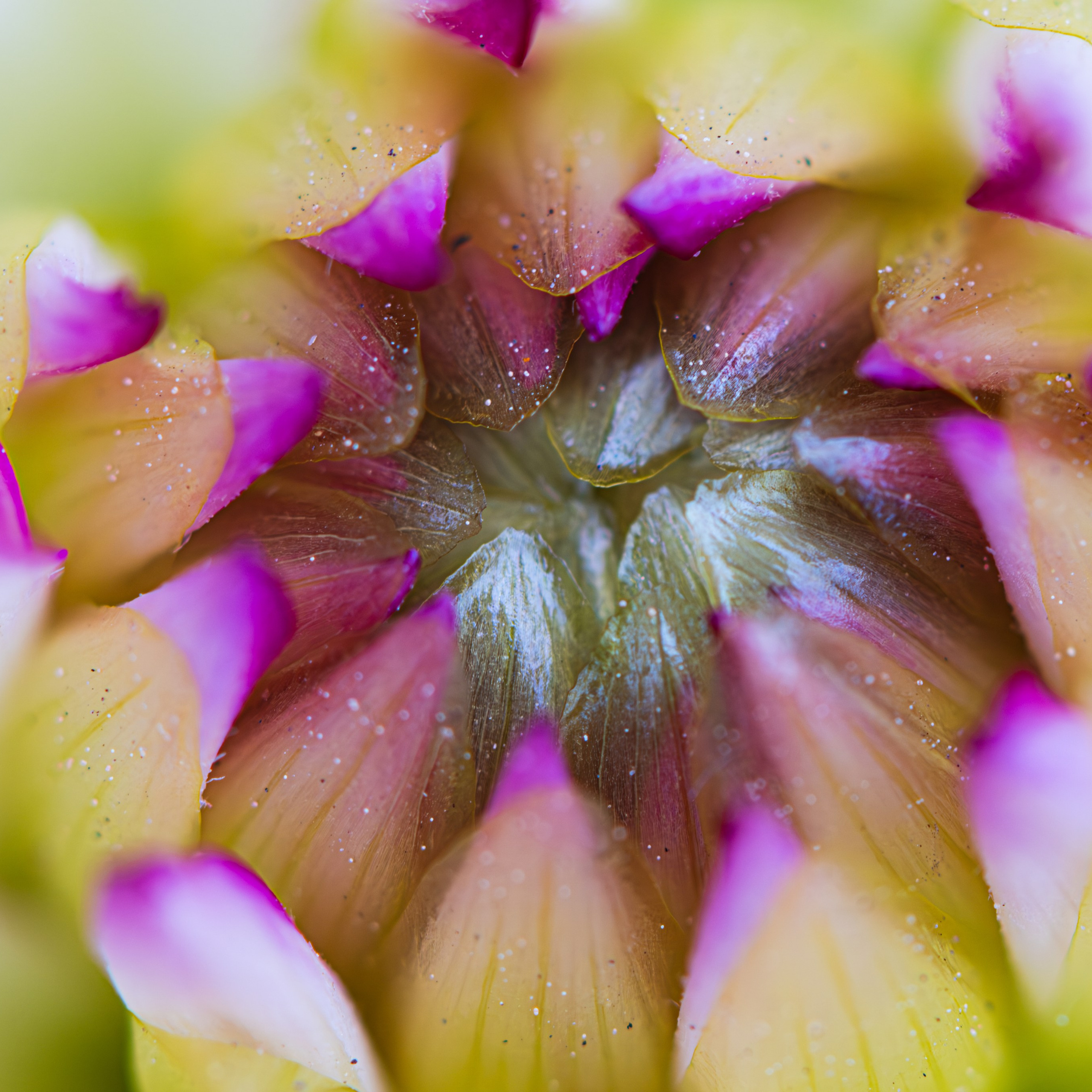 Макро жизнь