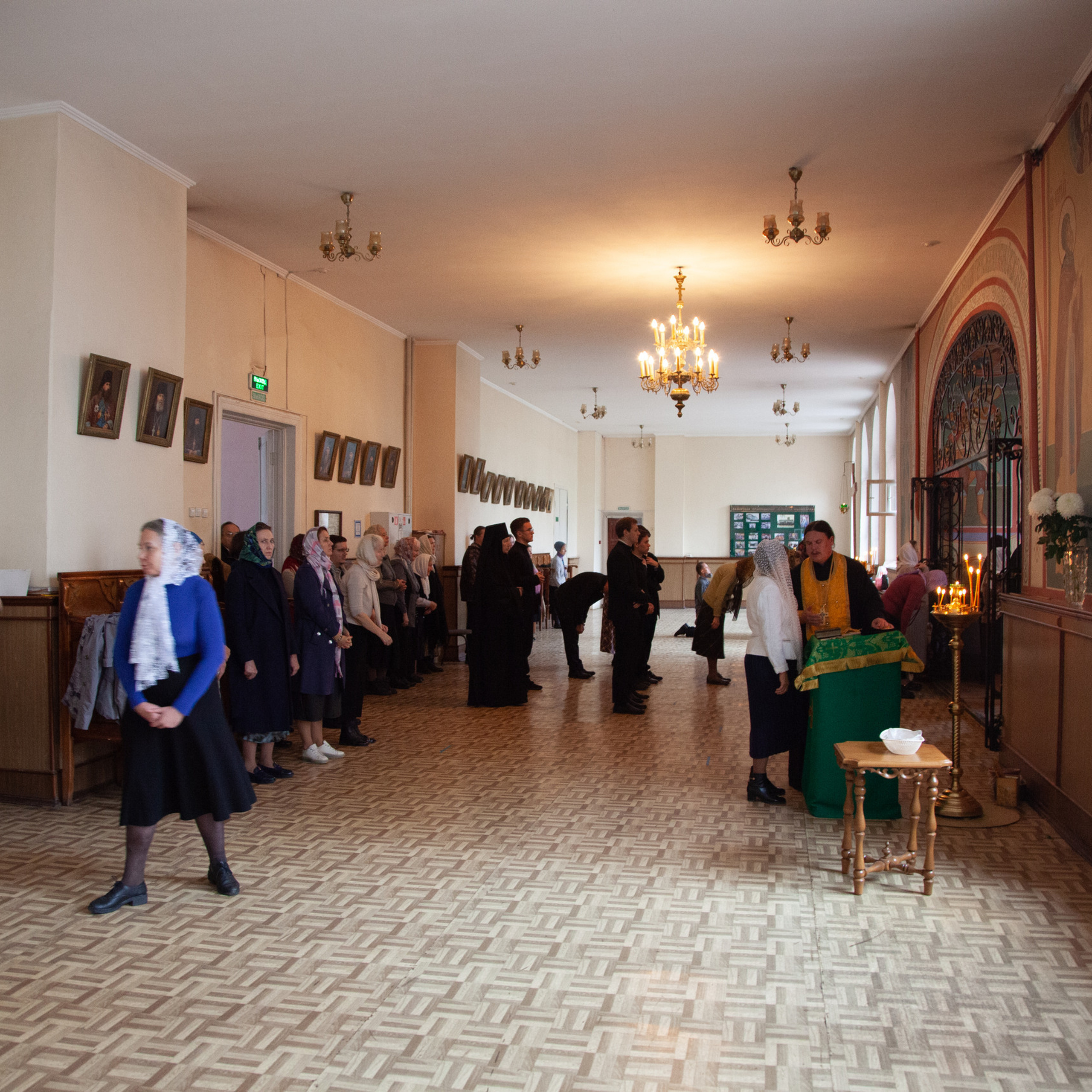 Сomments. Katya Schou