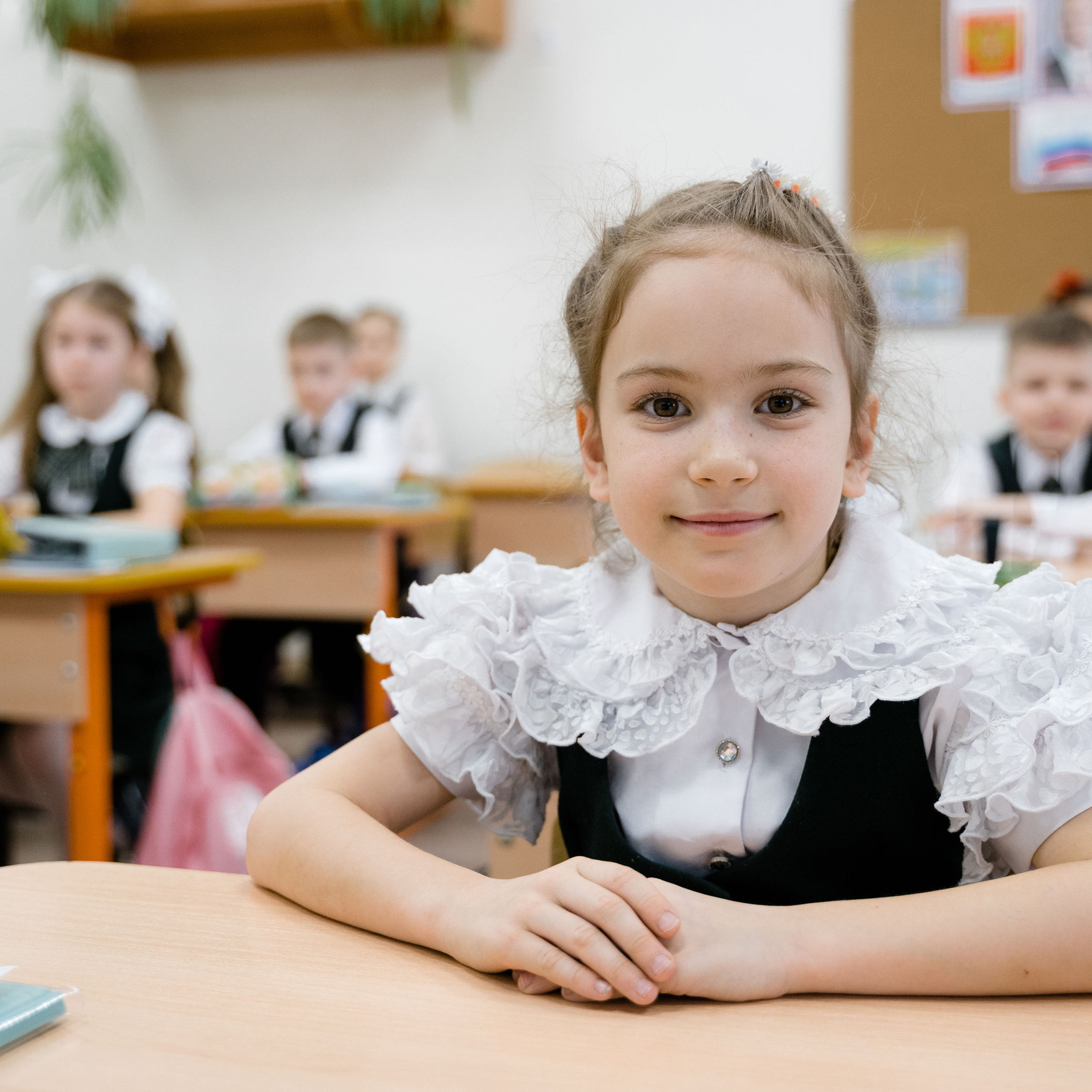 Сomments. Katya Schou