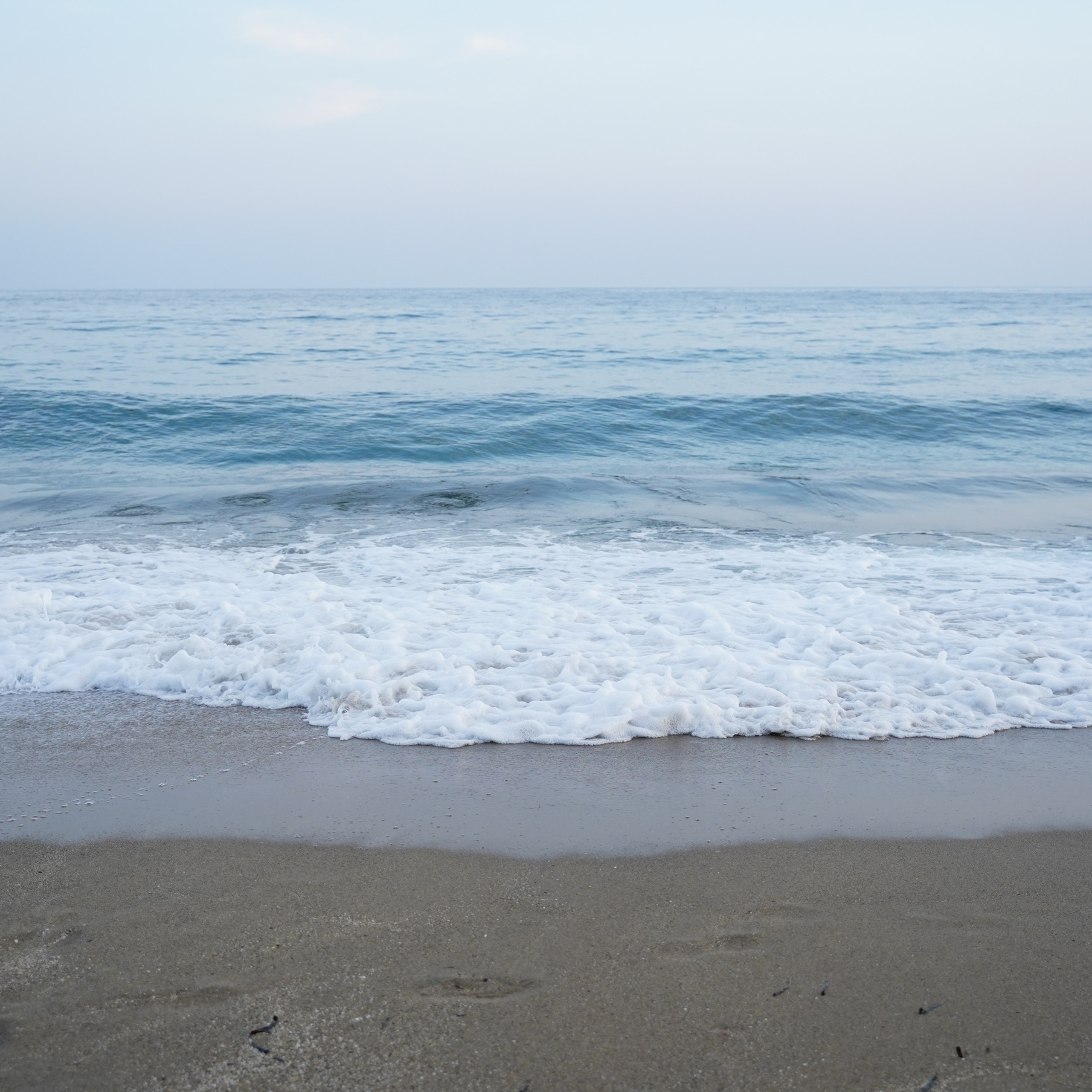 Сomments. Katya Schou