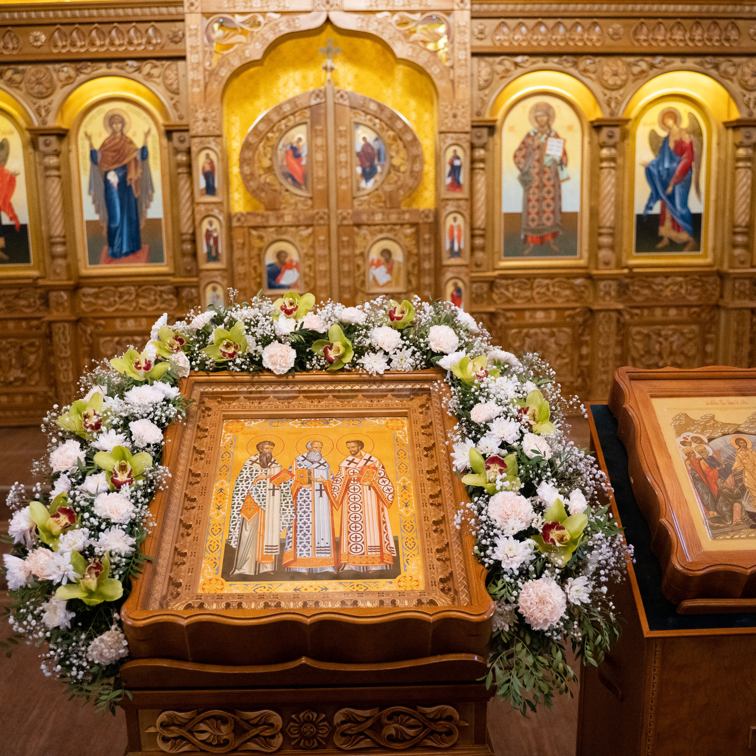 Сomments. Katya Schou