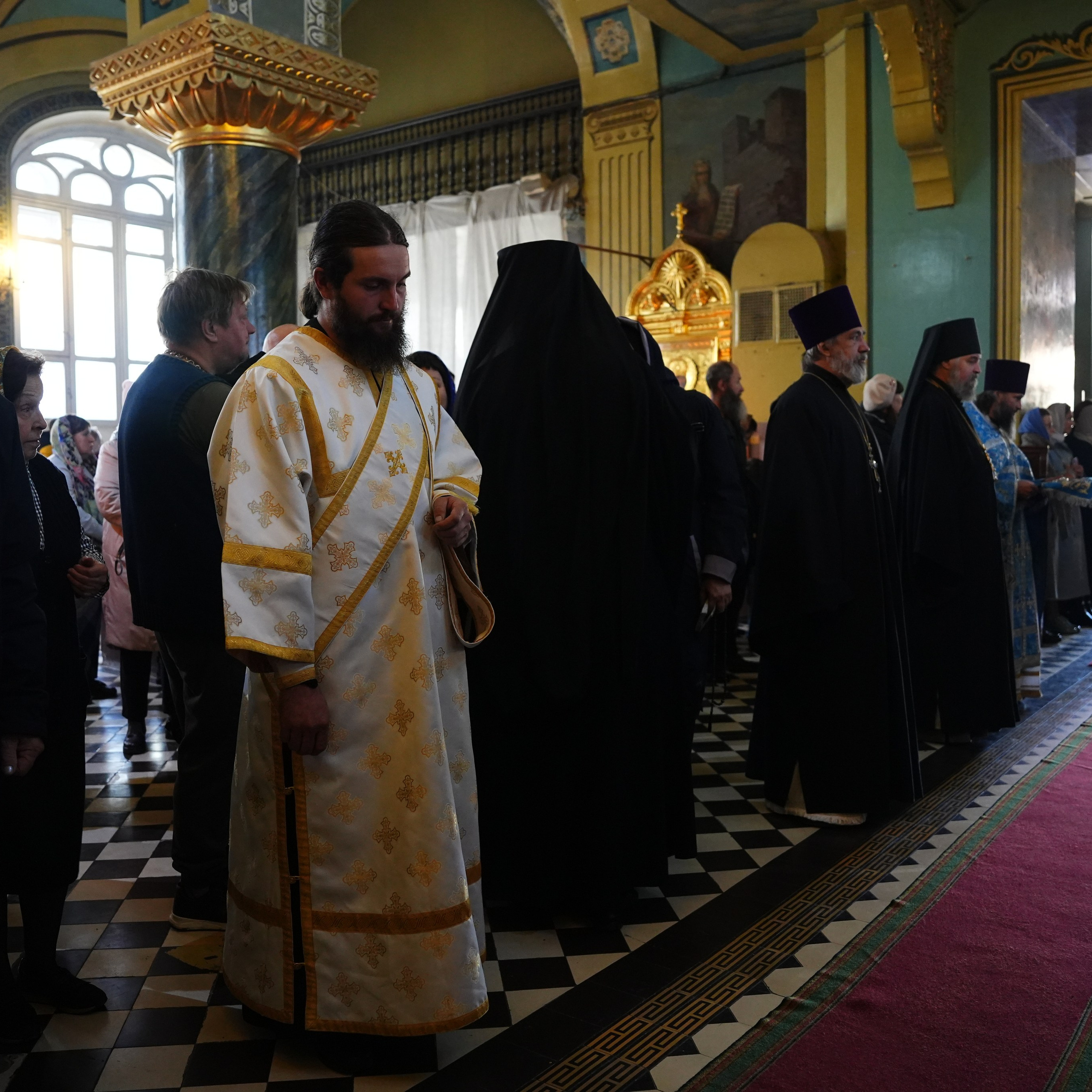 Сomments. Katya Schou