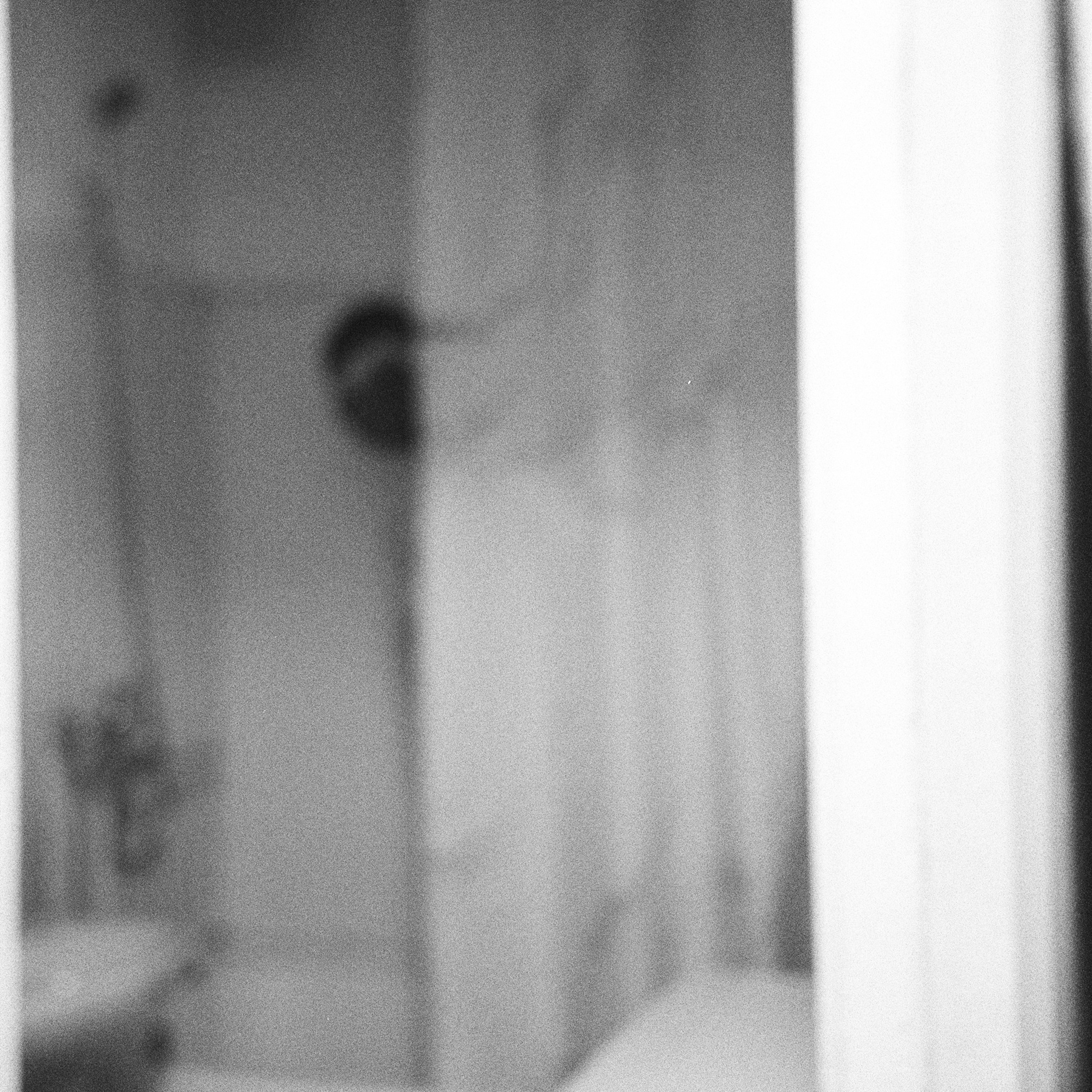 Self-portraits. Anastasia Serova