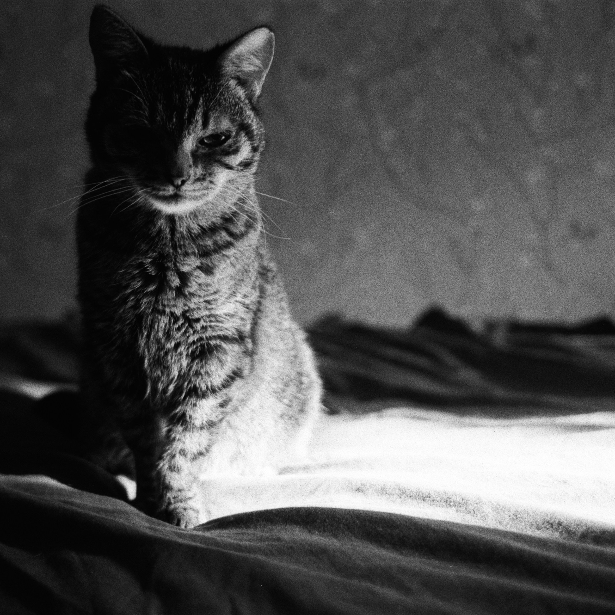 Days. Anastasia Serova