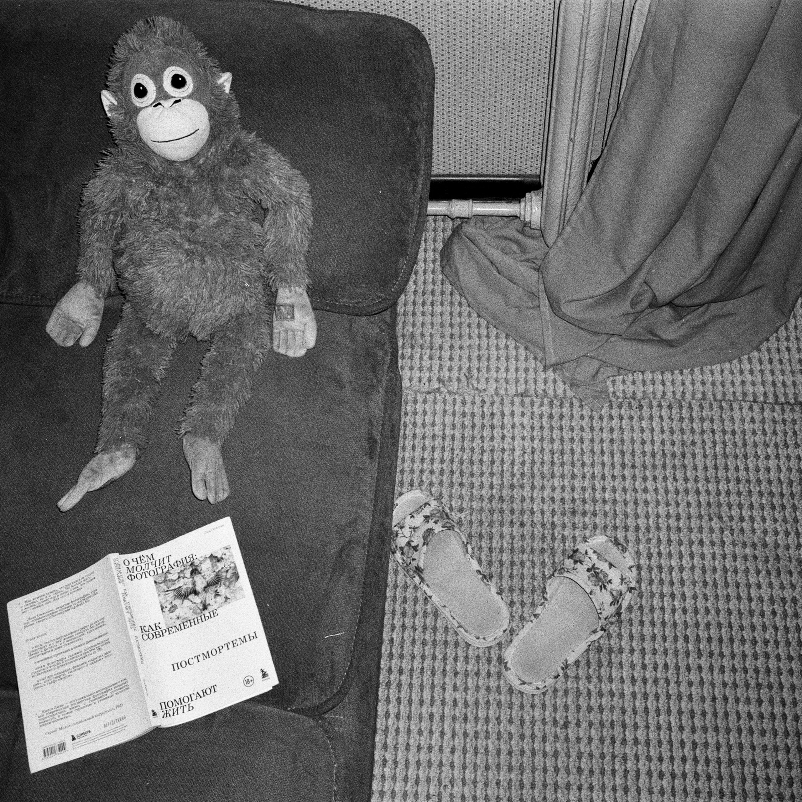 Days. Anastasia Serova