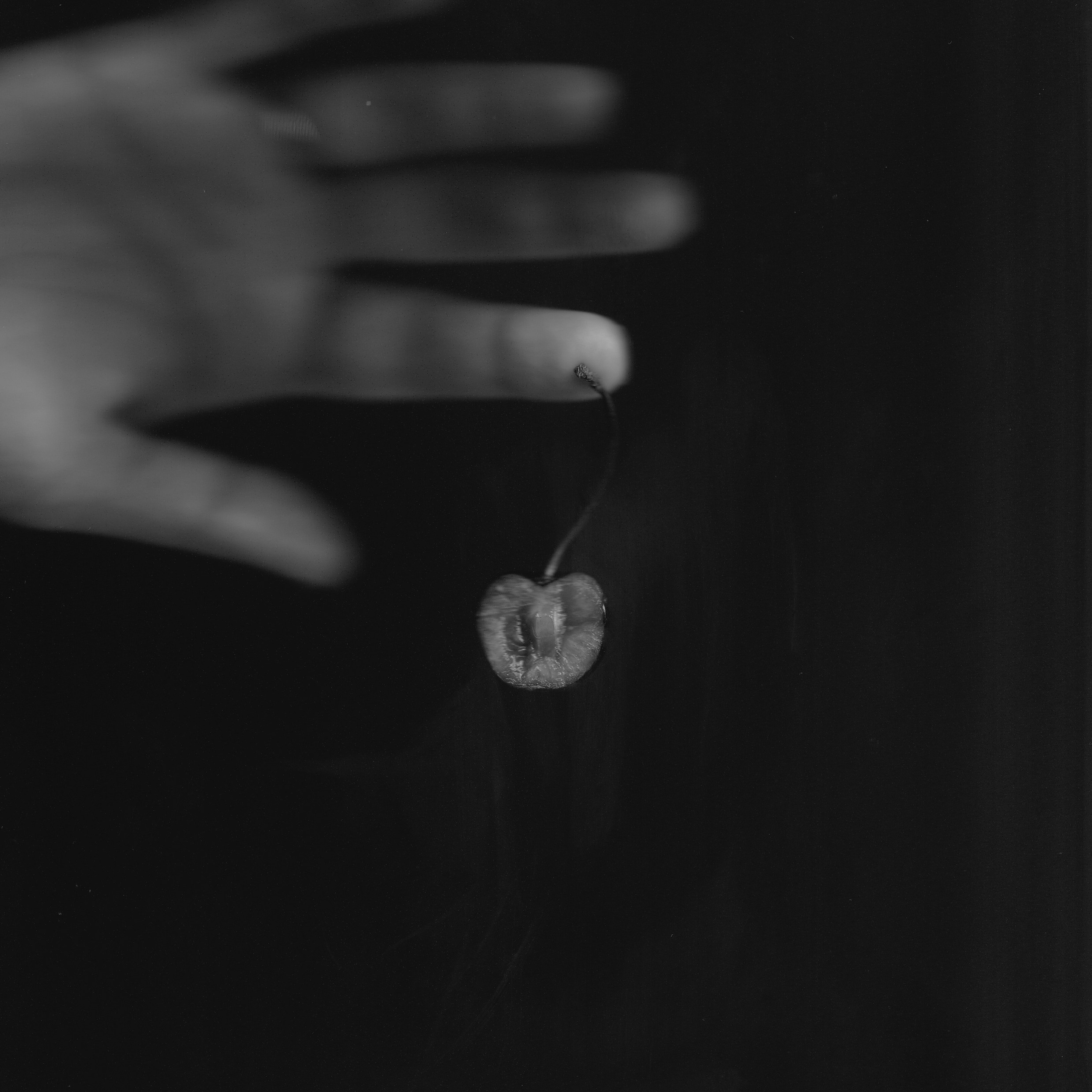 Collages and Scanography. Anastasia Serova