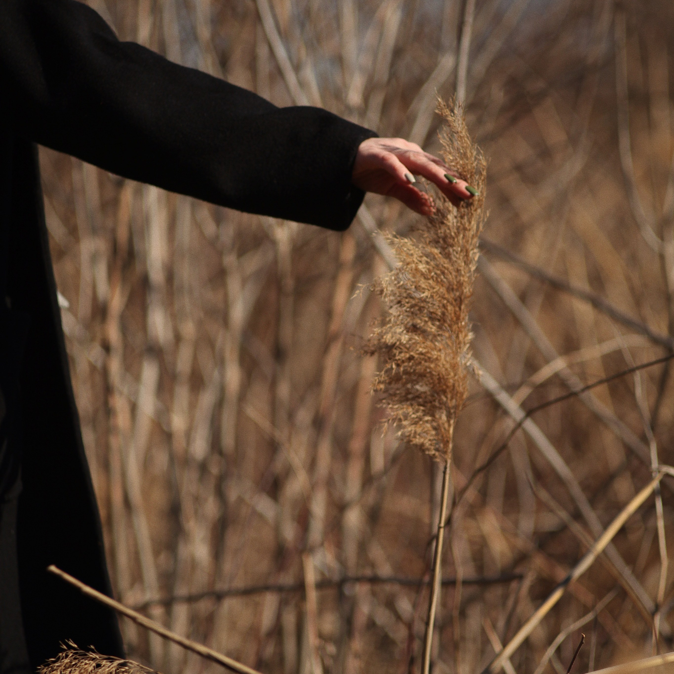 Отзывы. Фотограф Александра Рябова