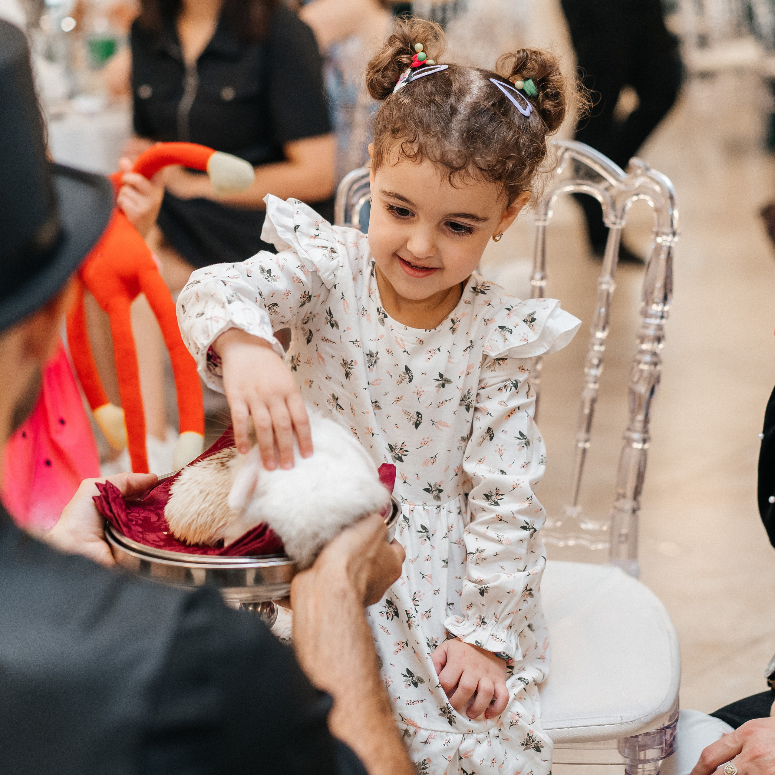 Детский ДР Оливии