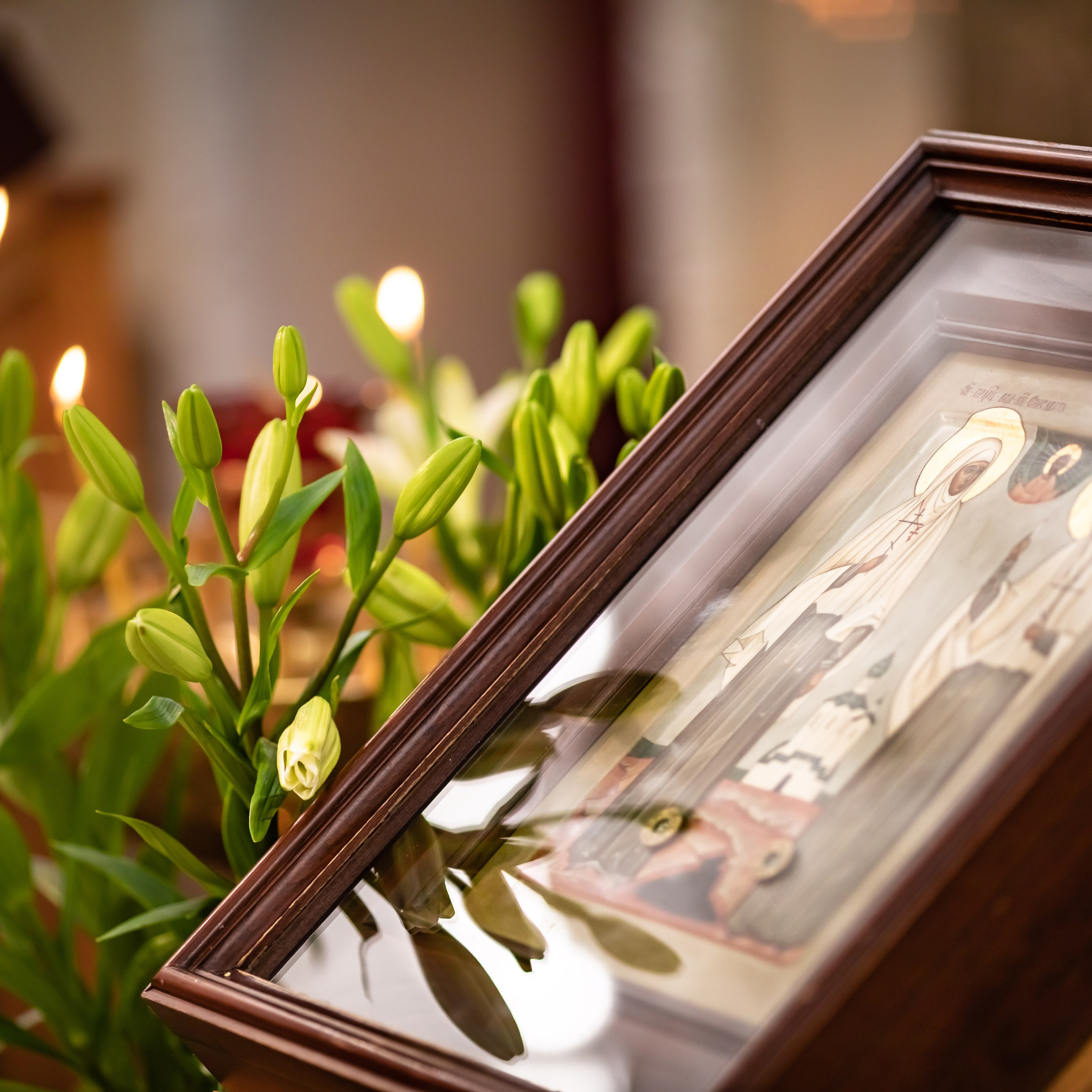 Отзывы. Семейный и детский фотограф г. Москва