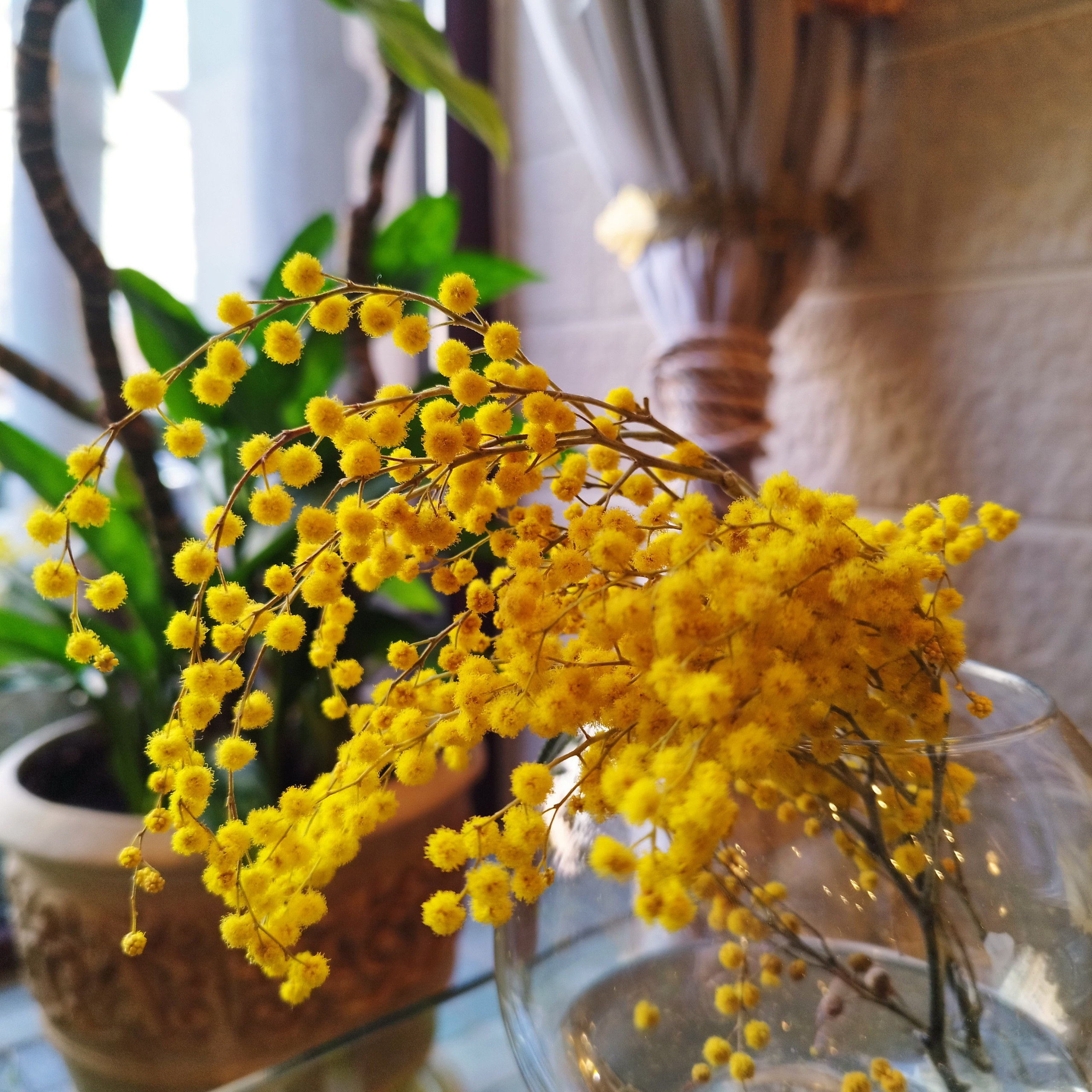 Отзывы. Фотограф в Санкт-Петербурге. Индивидуальная съемка и фотопрогулки