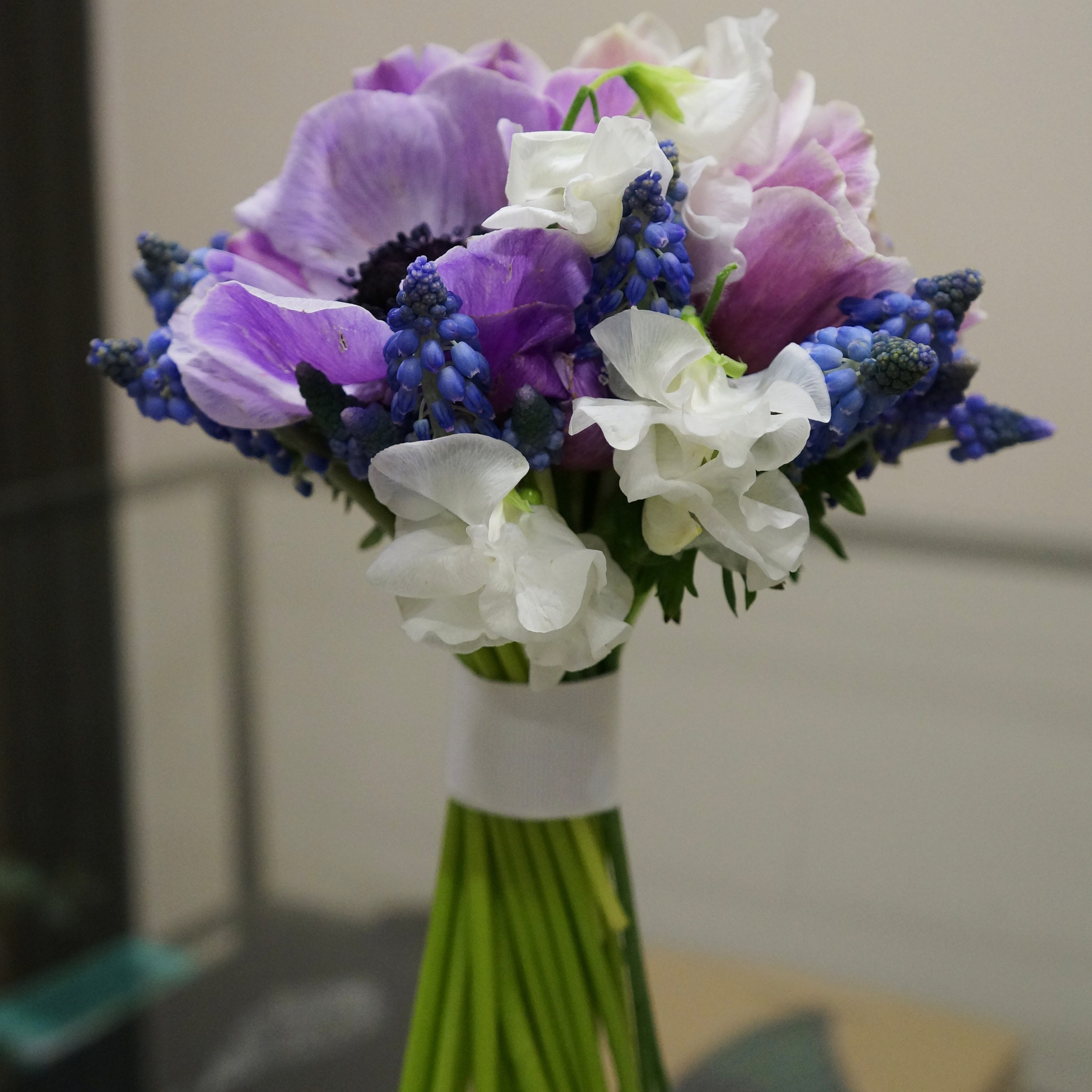 Флористика