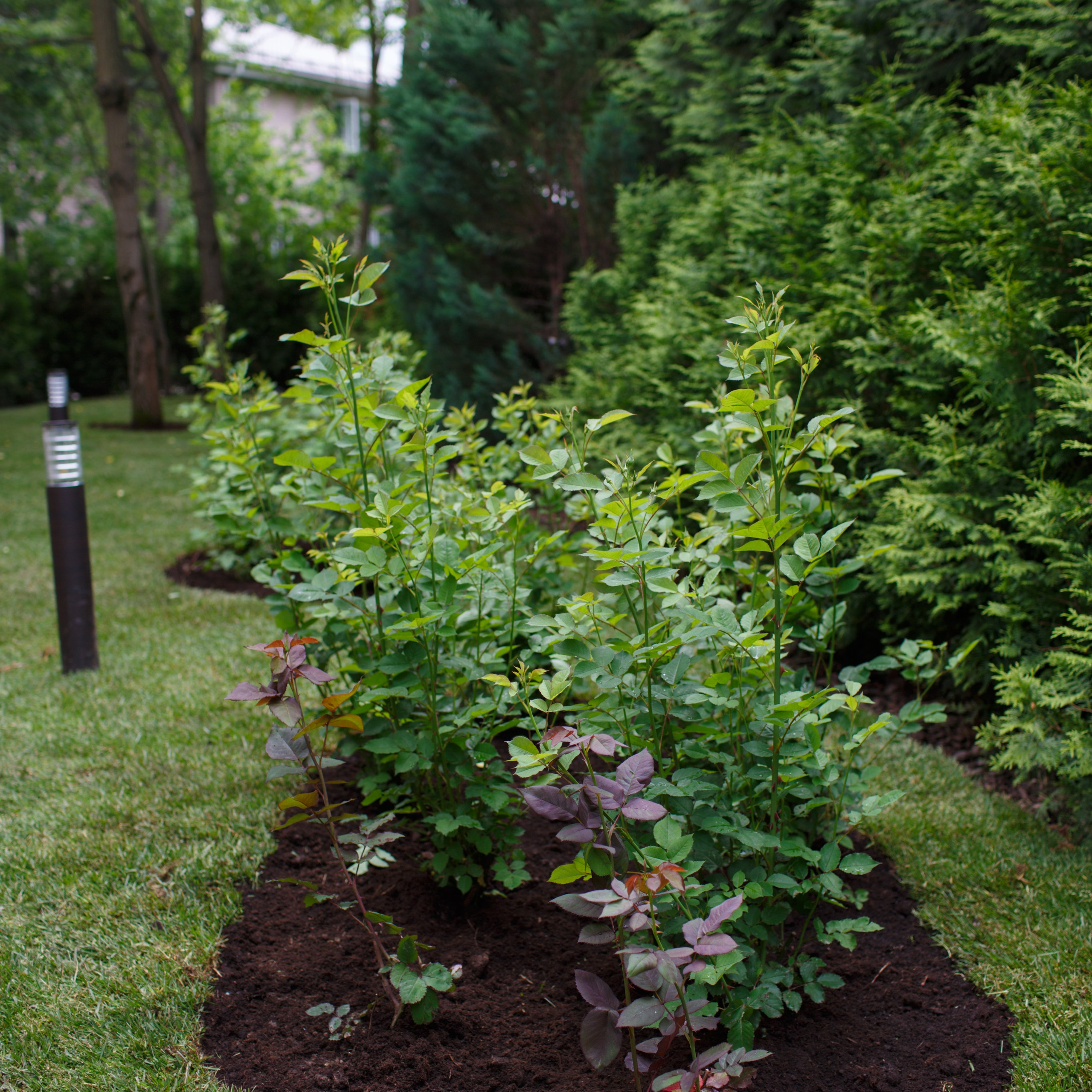 Ландшафтный дизайн