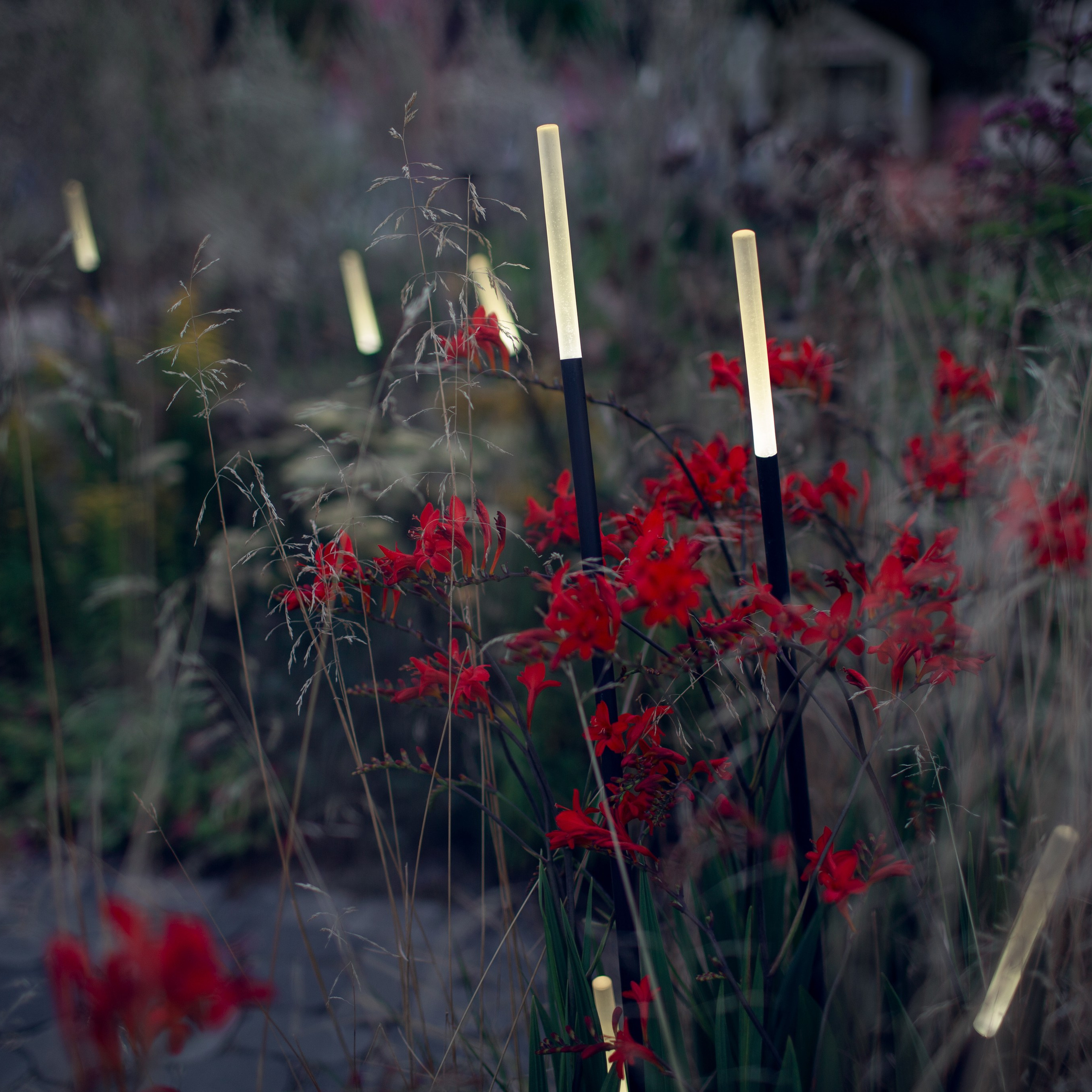 Декоративный ландшафтный свет TEMPARIUM