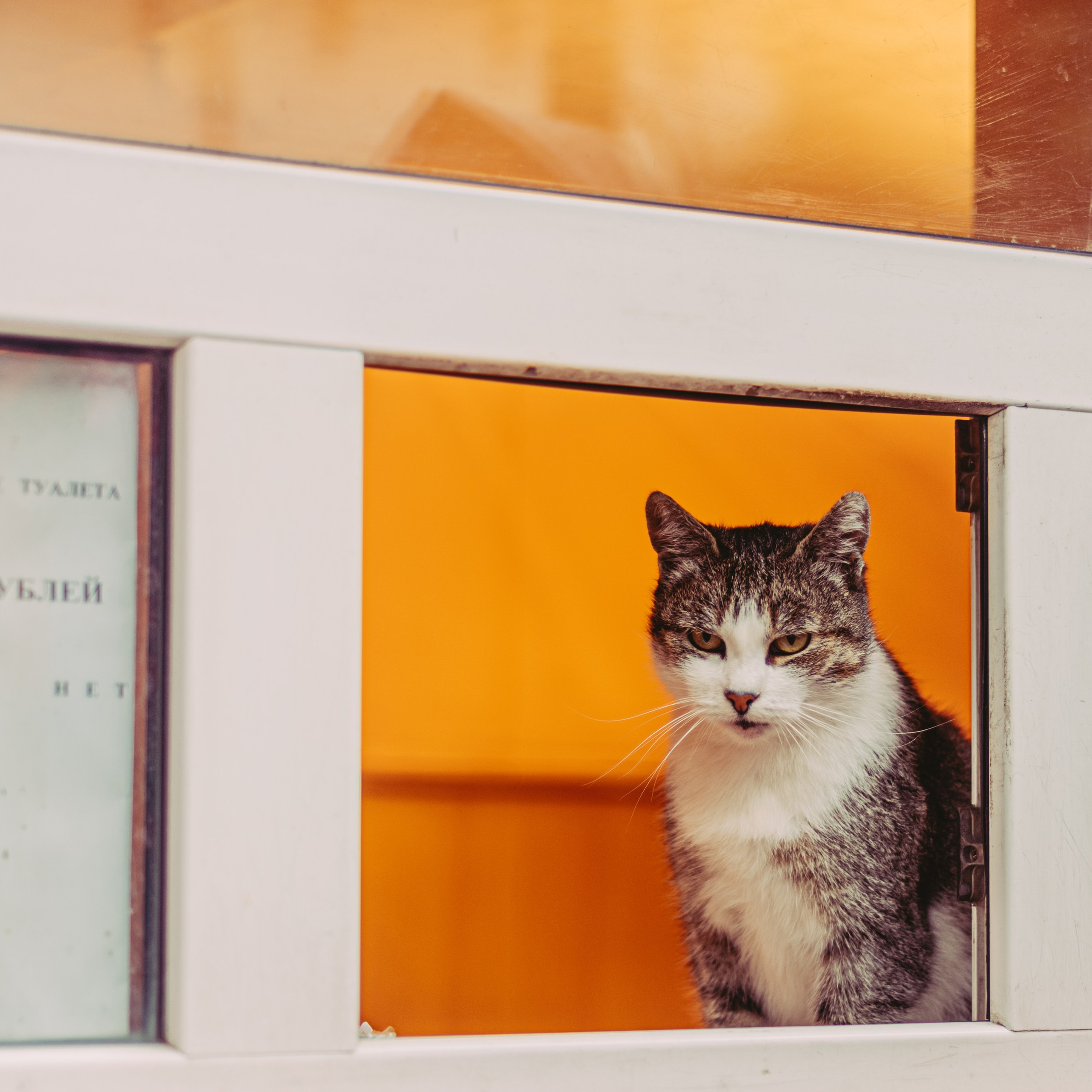 Путешествия глазами рекламного фотографа из Гуанчжоу: улицы, эмоции и истории. Коммерческий и предметный фотограф в Гуанчжоу Коваленко Александр