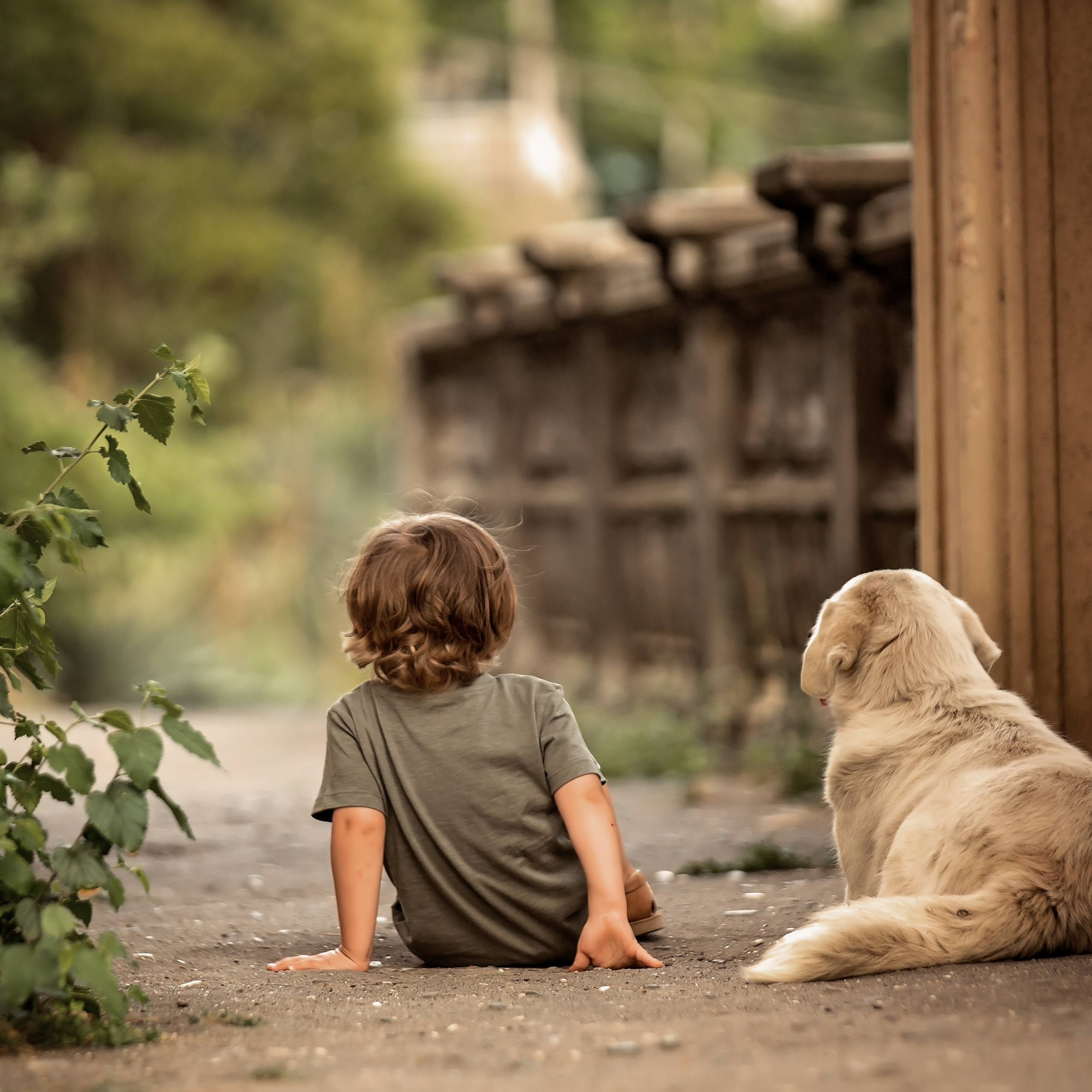 Сухумская гора