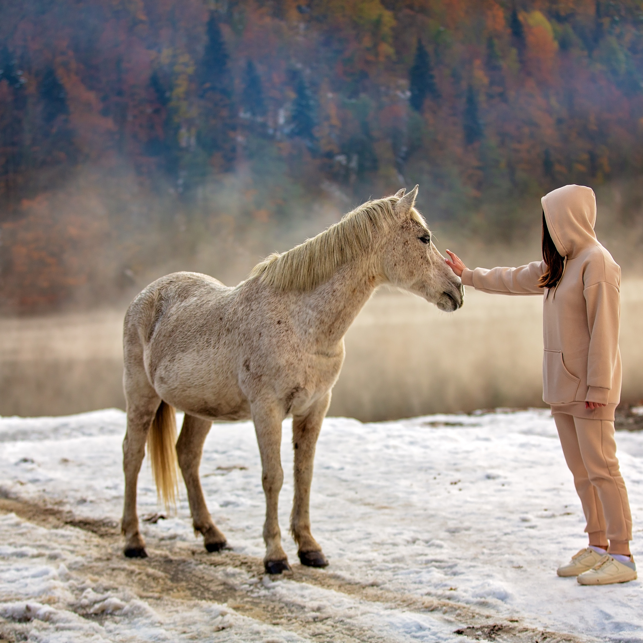 Новогодняя сказка