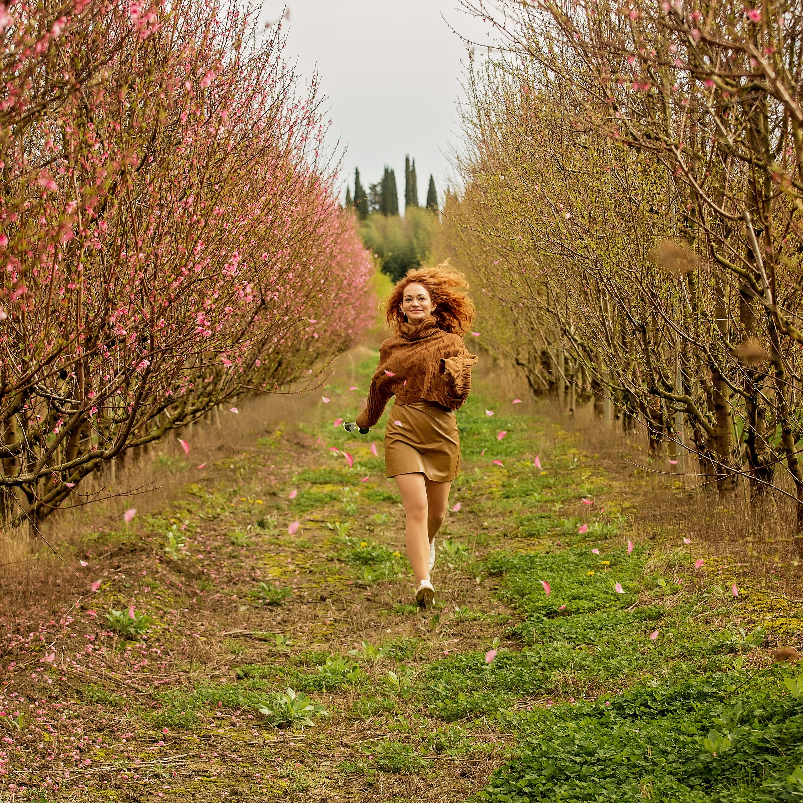 Персиковый сад