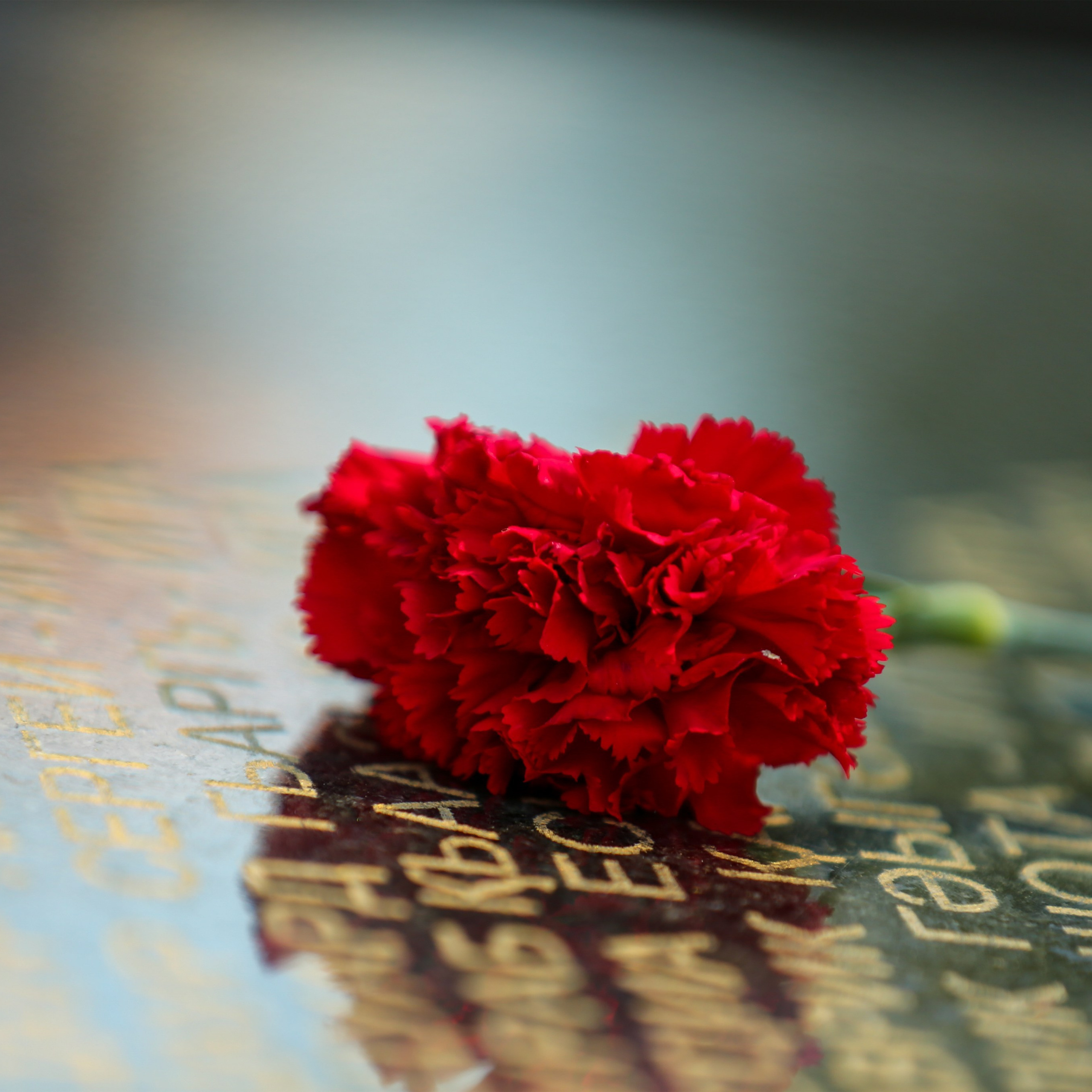 30-летие Дня Победы и Независимости Абхазии