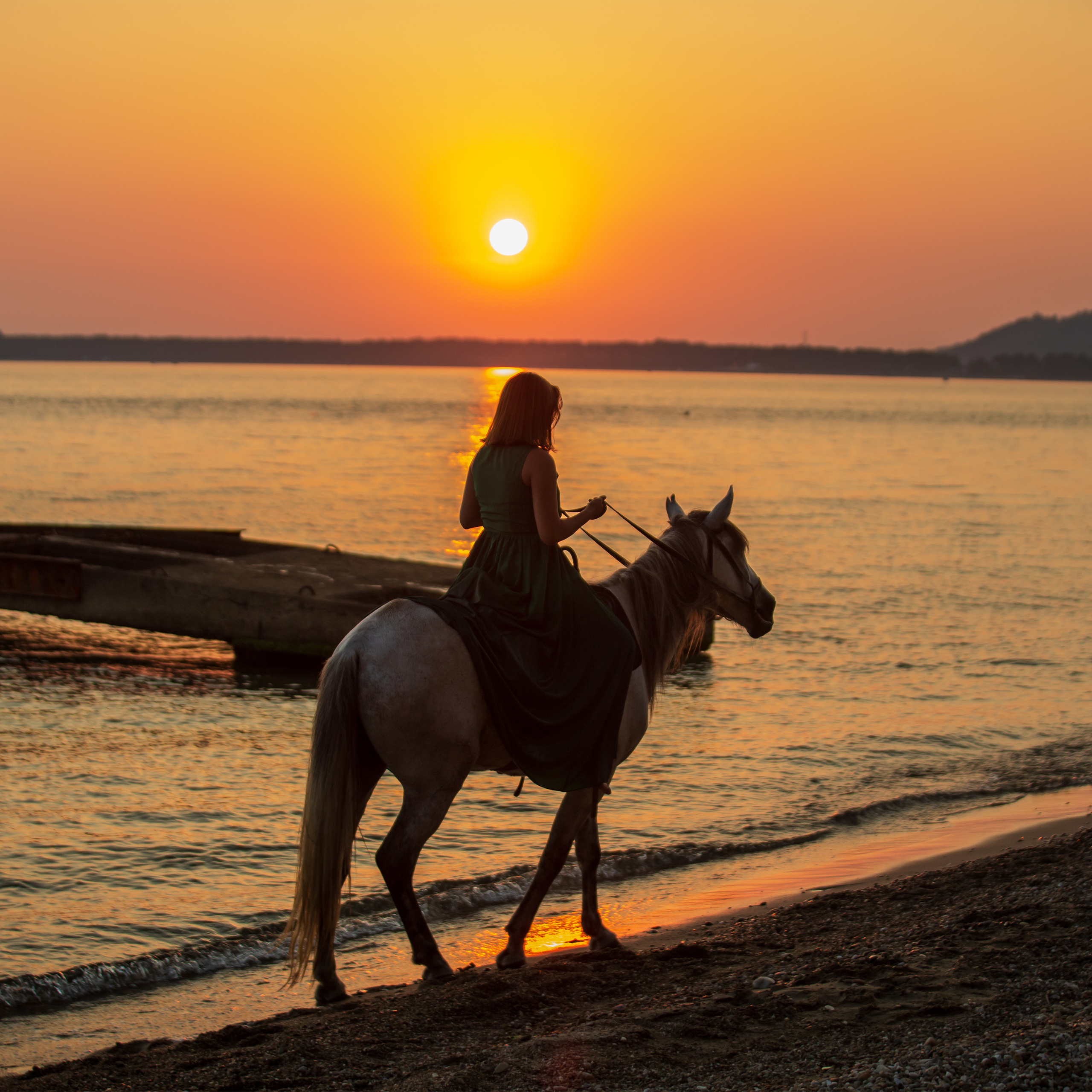 Пицунда… Закат… Конь…