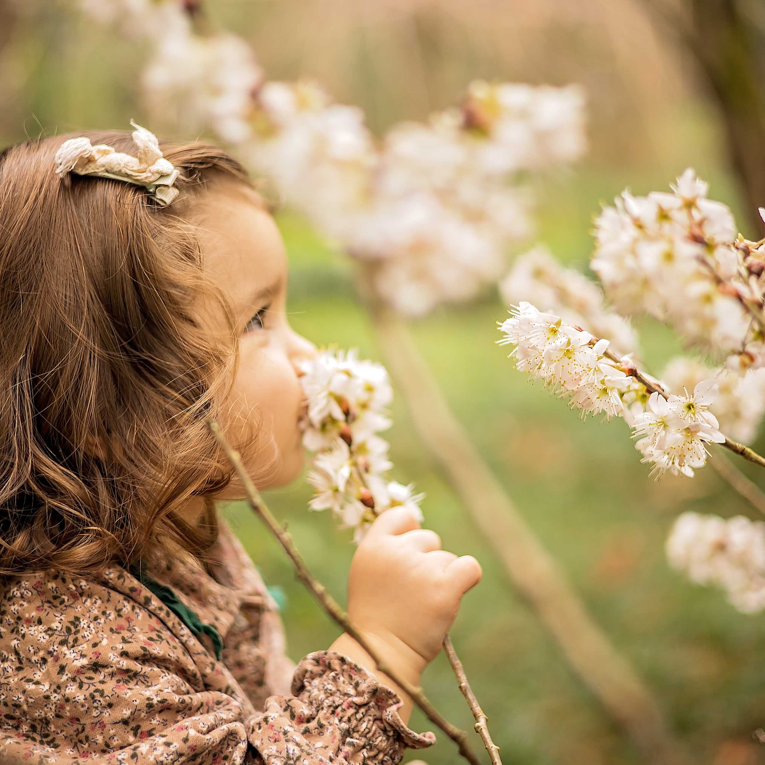 Мире 2 годика