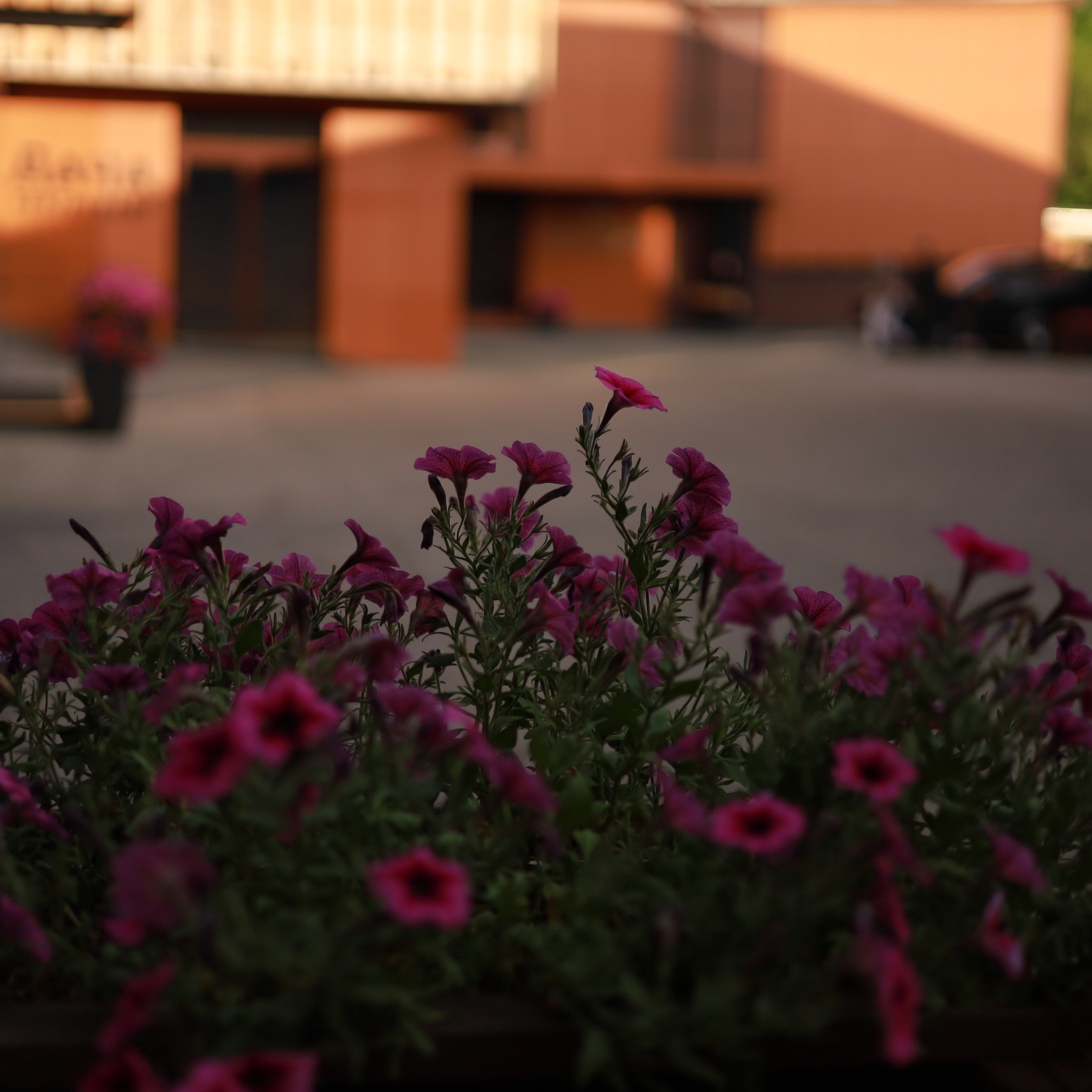 Отзывы. Портретный фотограф в Чебоксарах