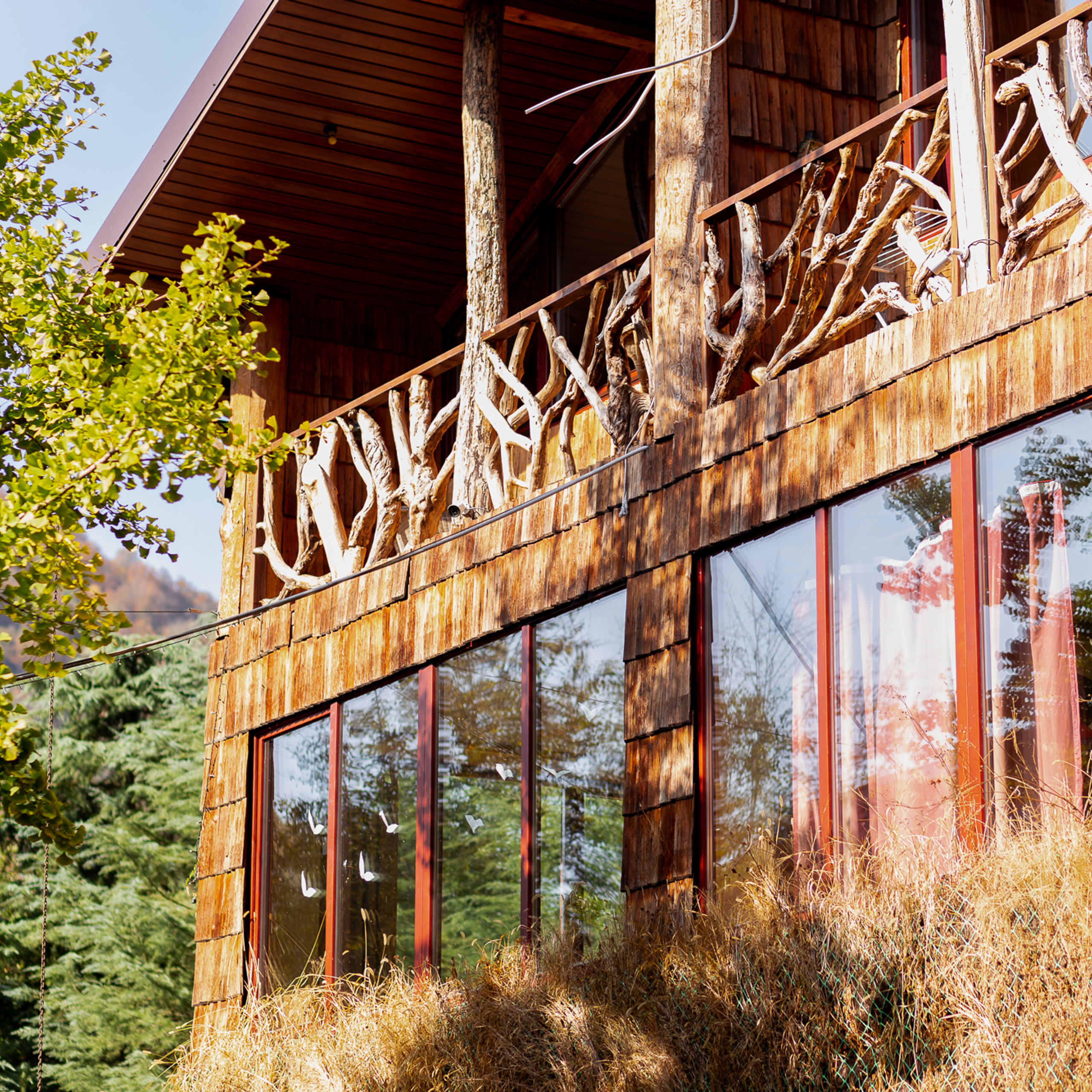 Отзывы. Фотограф на Камчатке, съемки на природе