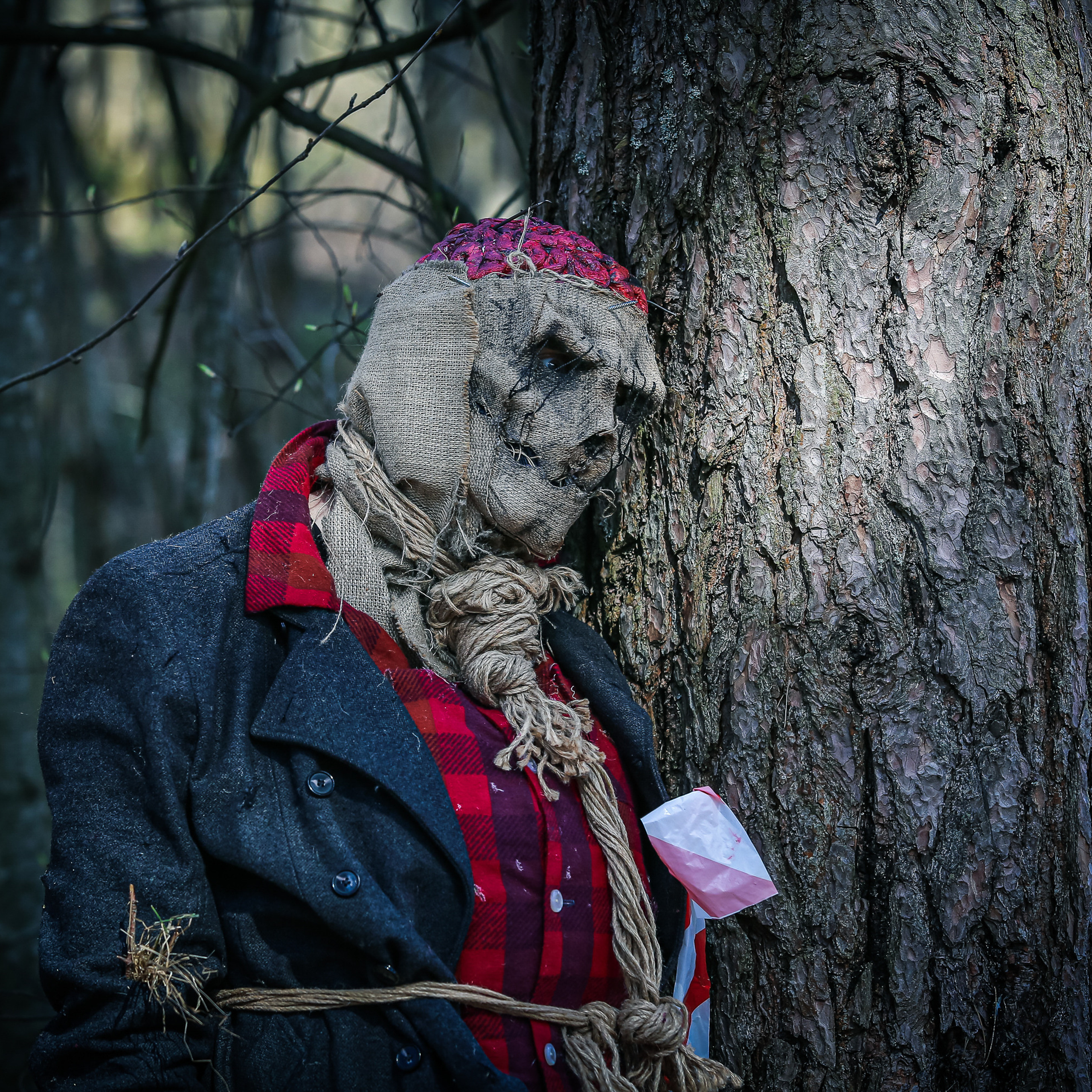 Фотограф в Санкт-Петербурге — Сергей Гусев. Сергей Гусев — спортивная фотография, виртуальные туры, 3д панорамы