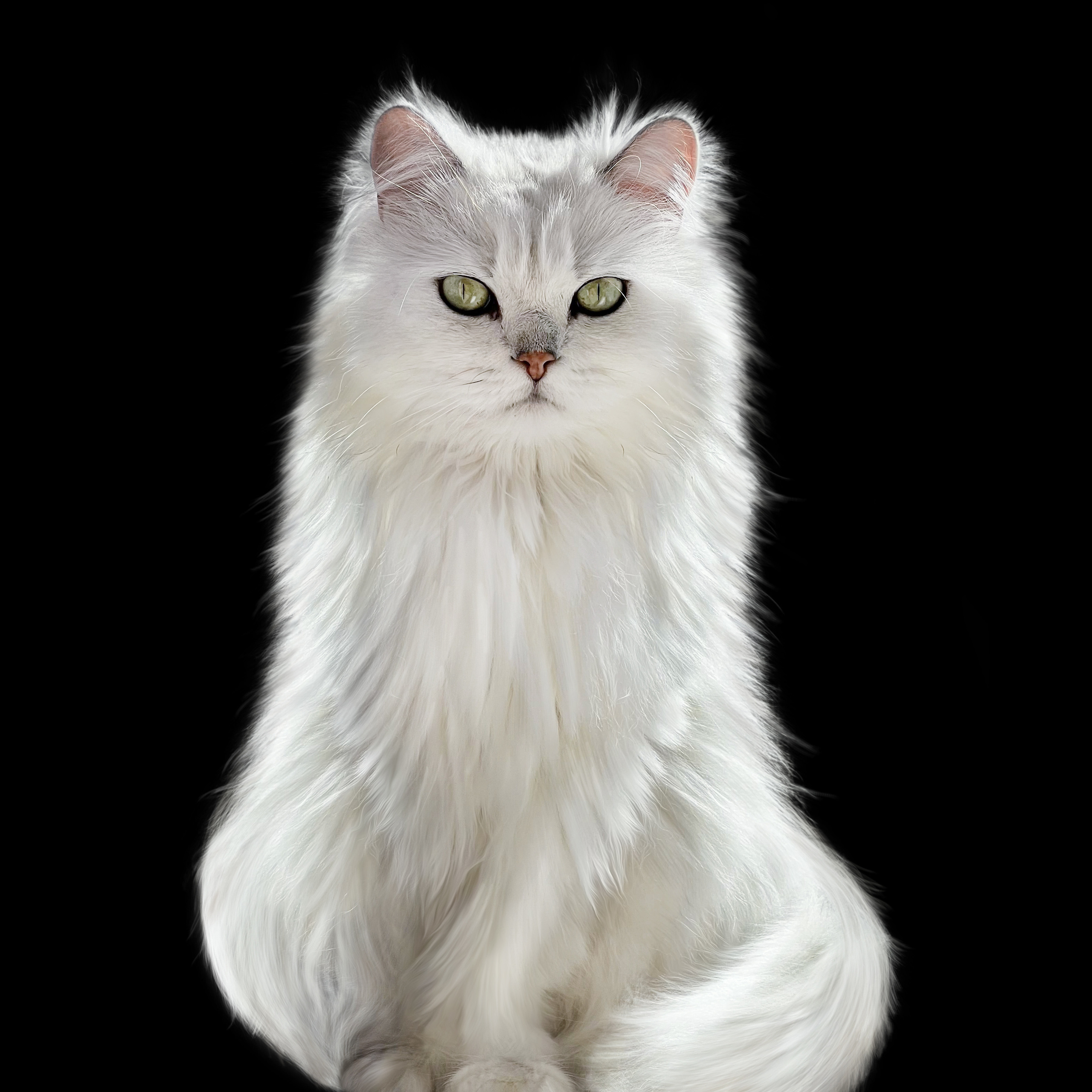 Отзывы. Фотограф и ретушер Маргарита Павлюк Москва