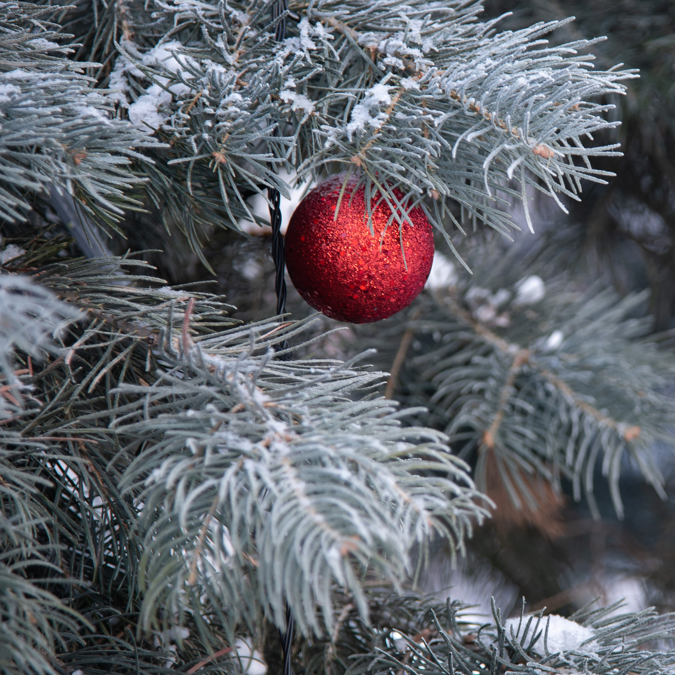 Отзывы о моей работе и готовых выпускных альбомах от Лапшиной Юлии. Лапшина Юлия — школьный фотограф в Нижнем Новгороде. Выпускные альбомы