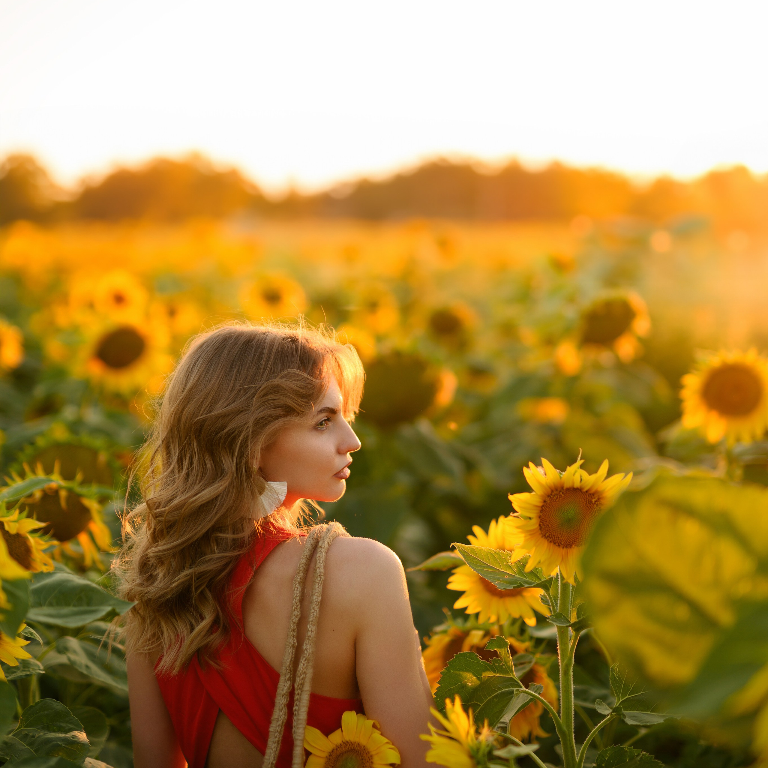 Анна | съемка в подсолнухах