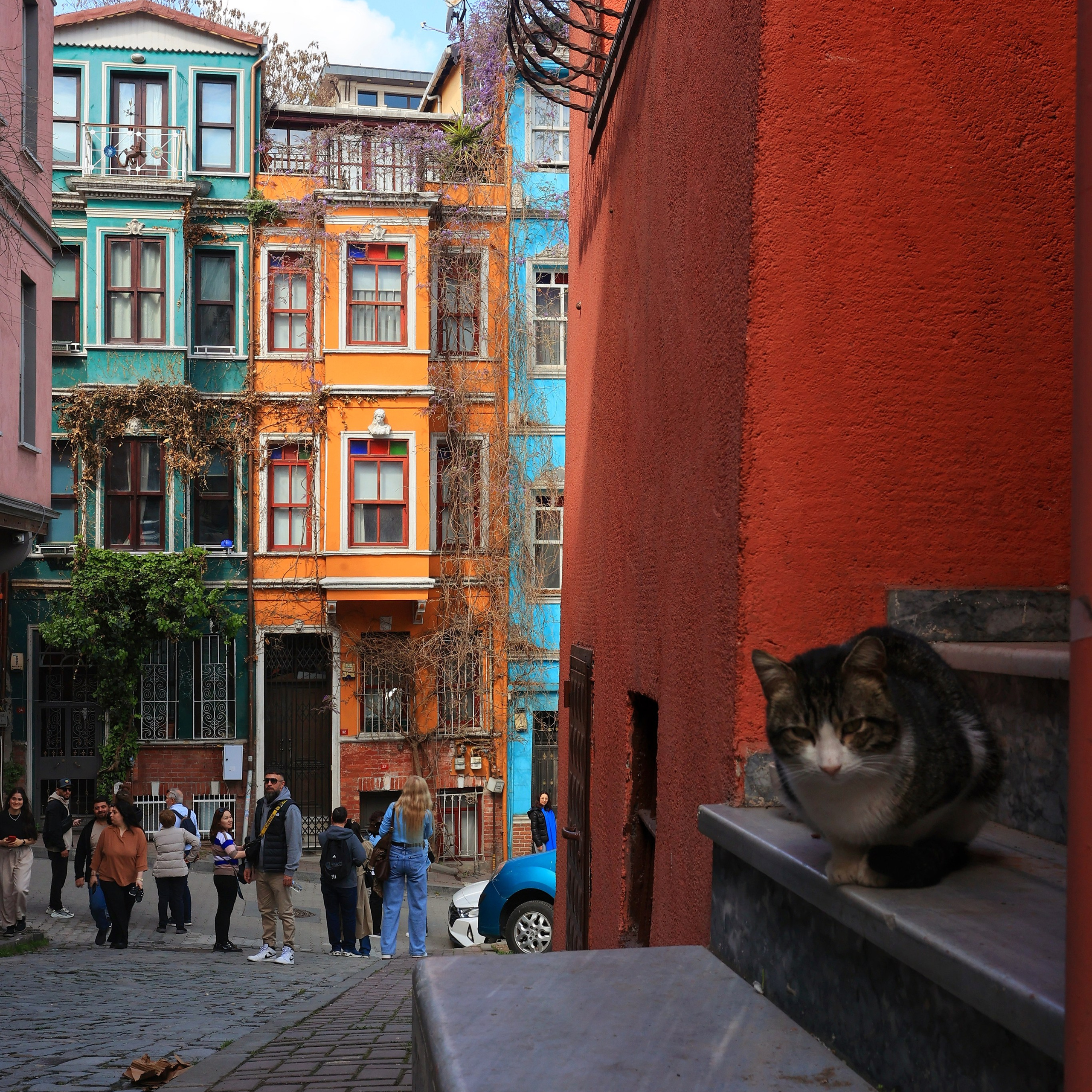 Идеи в путешествии