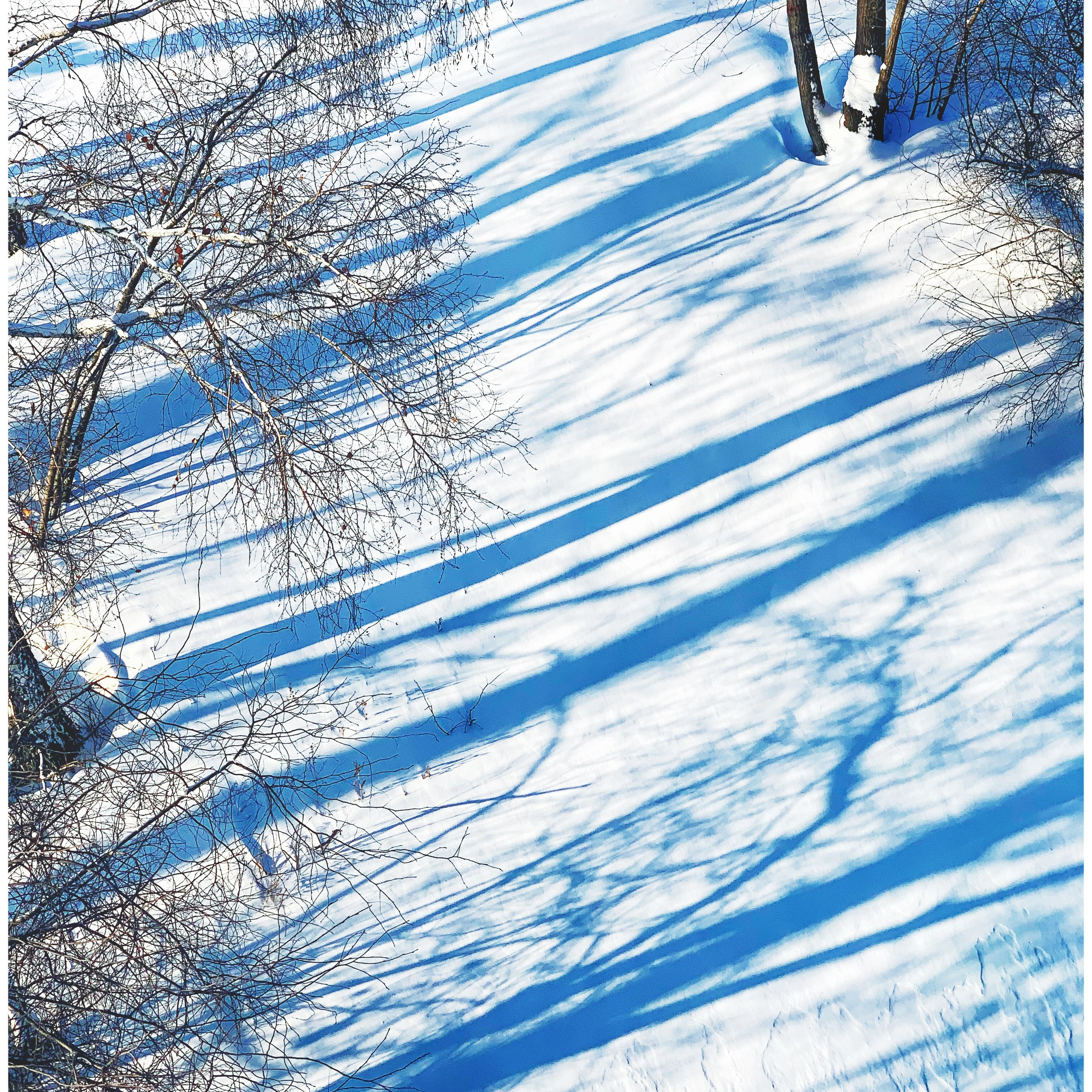 Идеи в пейзаже