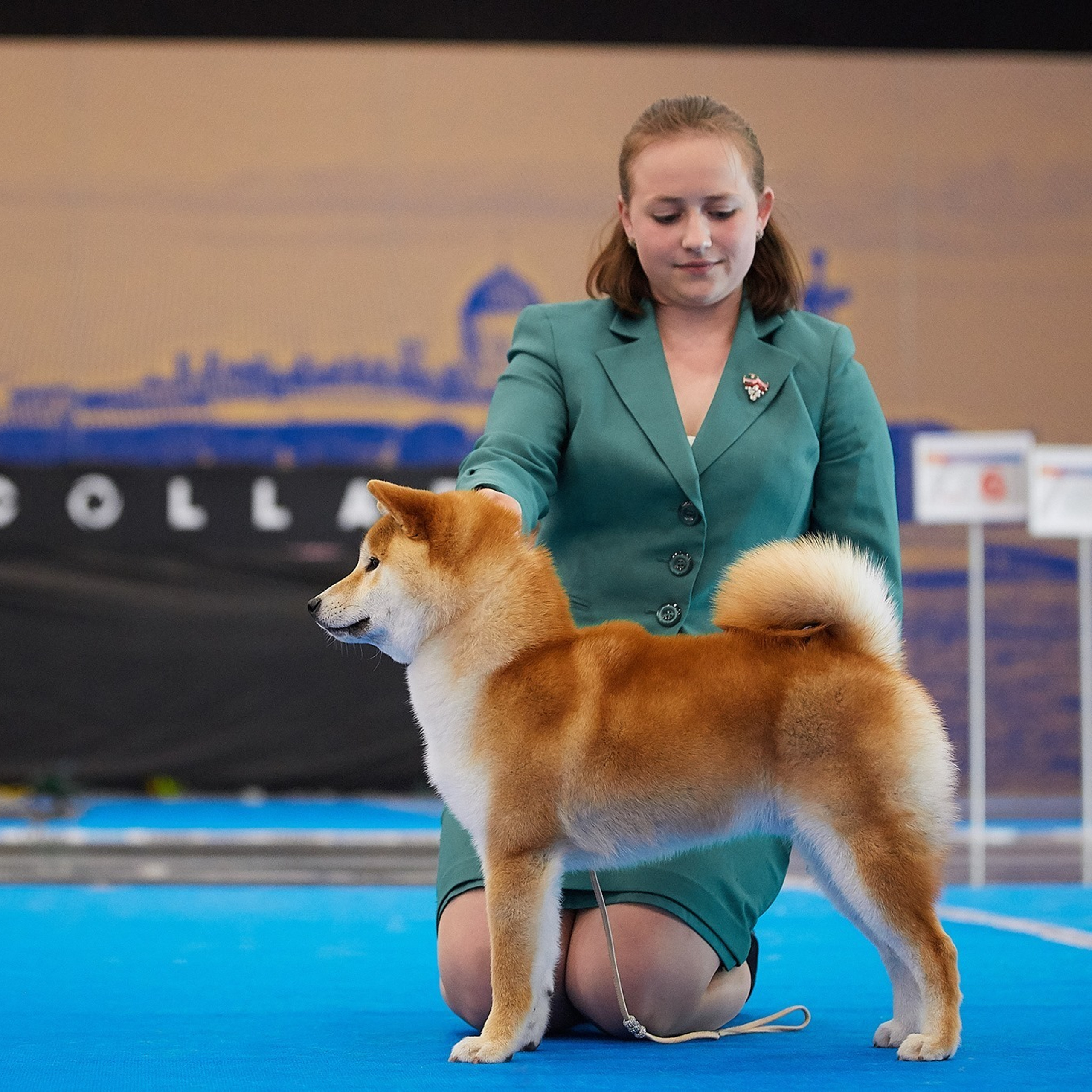 2019. SHIOMARU Shiba and Akita Inu Kennel