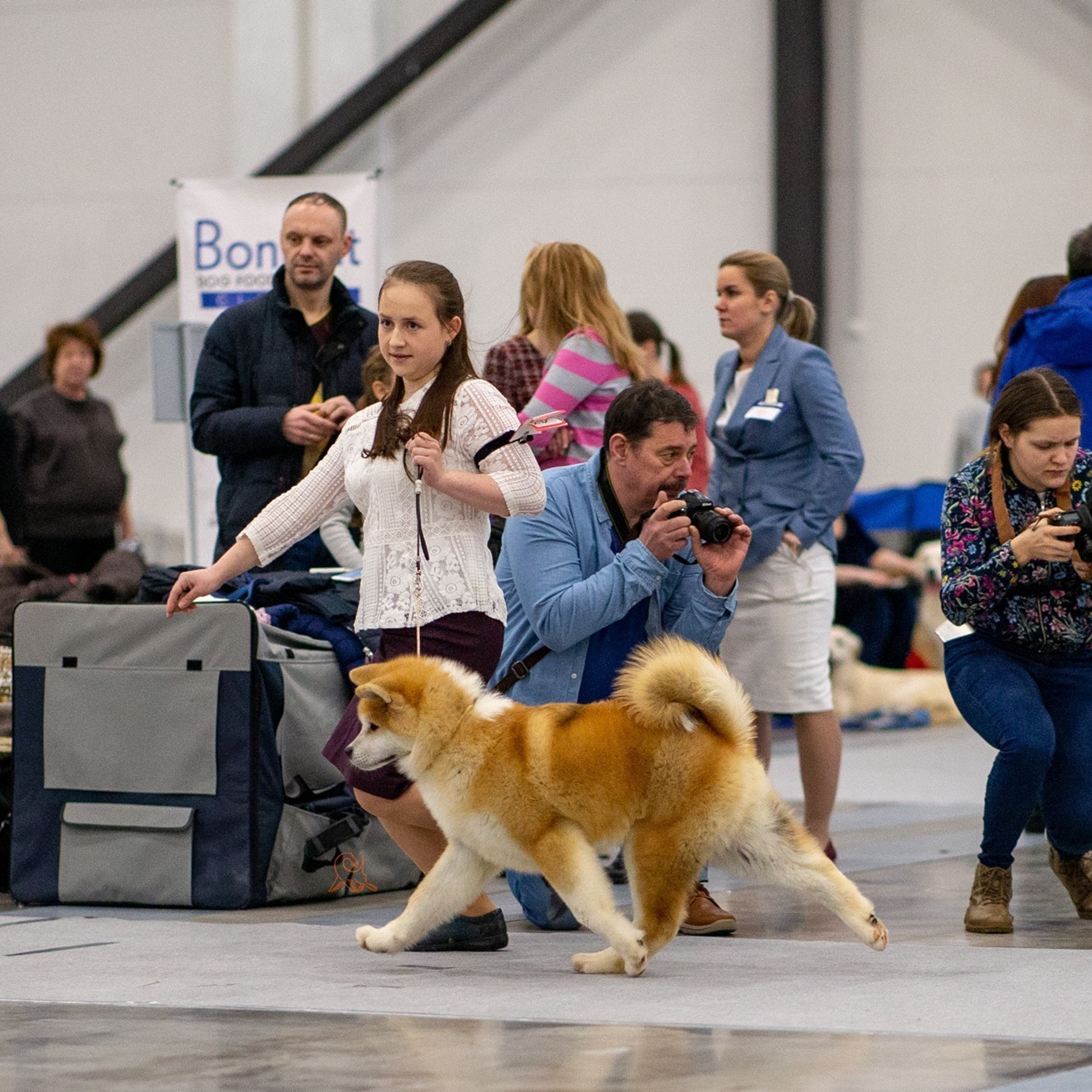 2019. SHIOMARU Shiba and Akita Inu Kennel