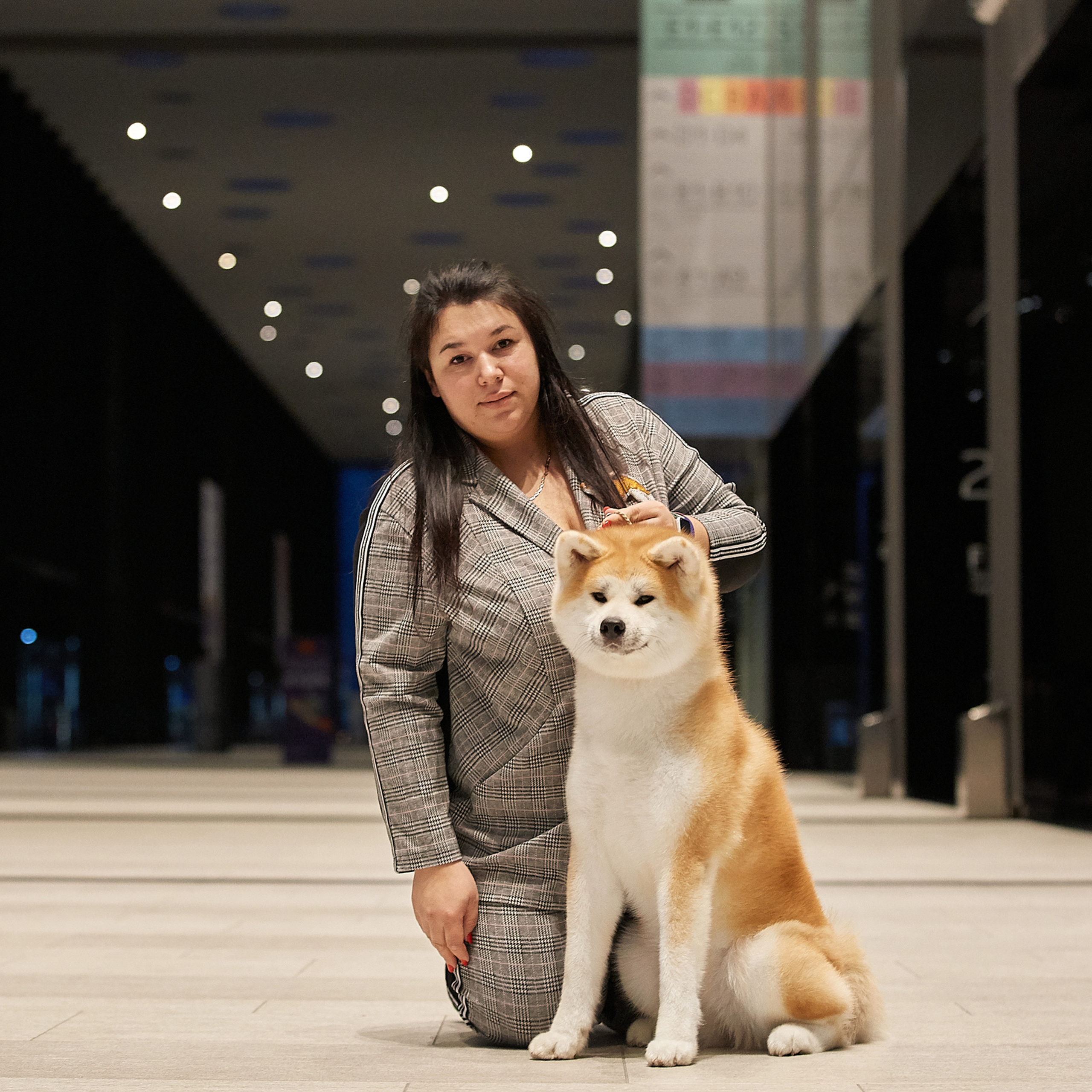Выпускники питомника. SHIOMARU Питомник сиба и акита-ину