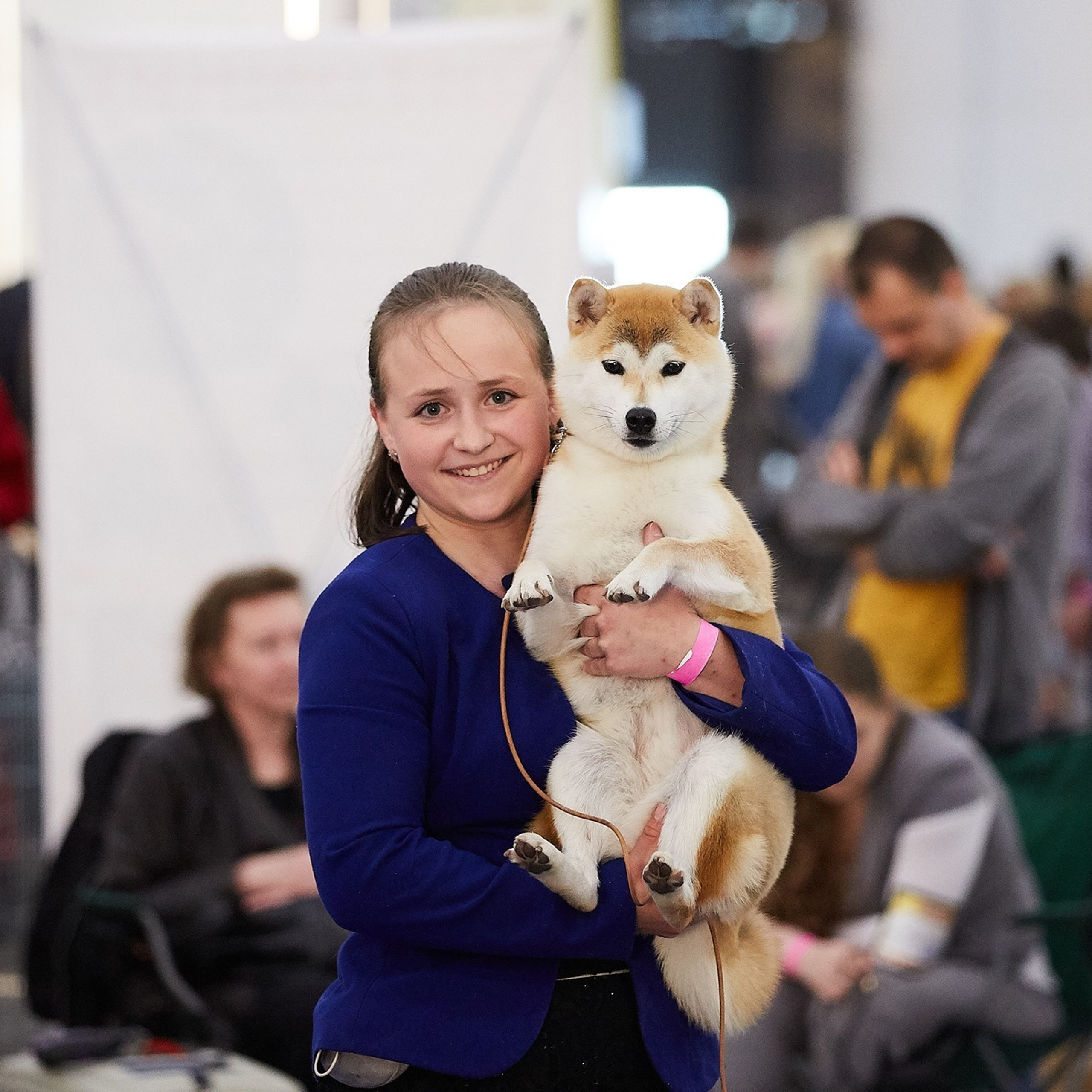 2019. SHIOMARU Shiba and Akita Inu Kennel