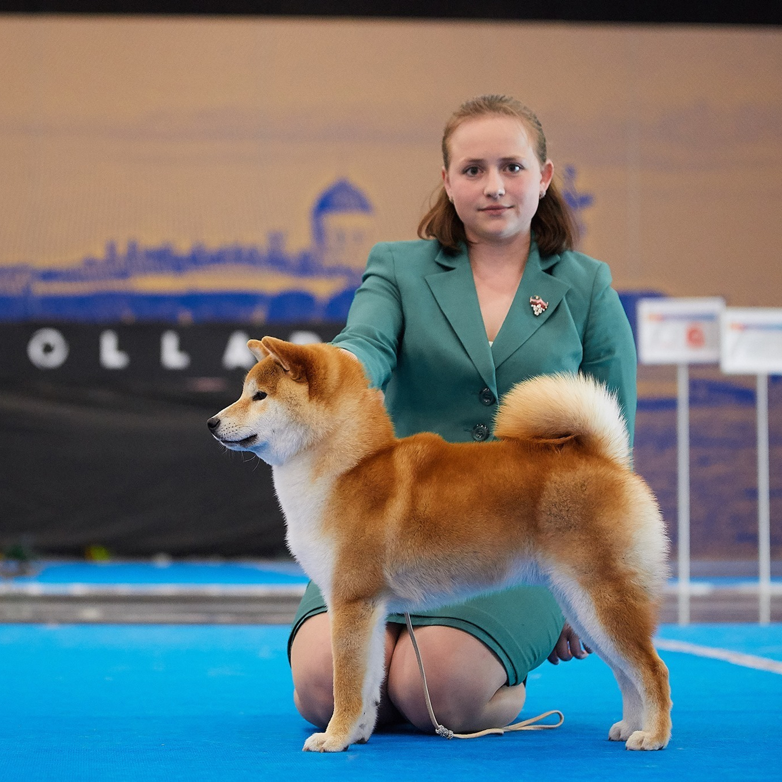 2019. SHIOMARU Shiba and Akita Inu Kennel