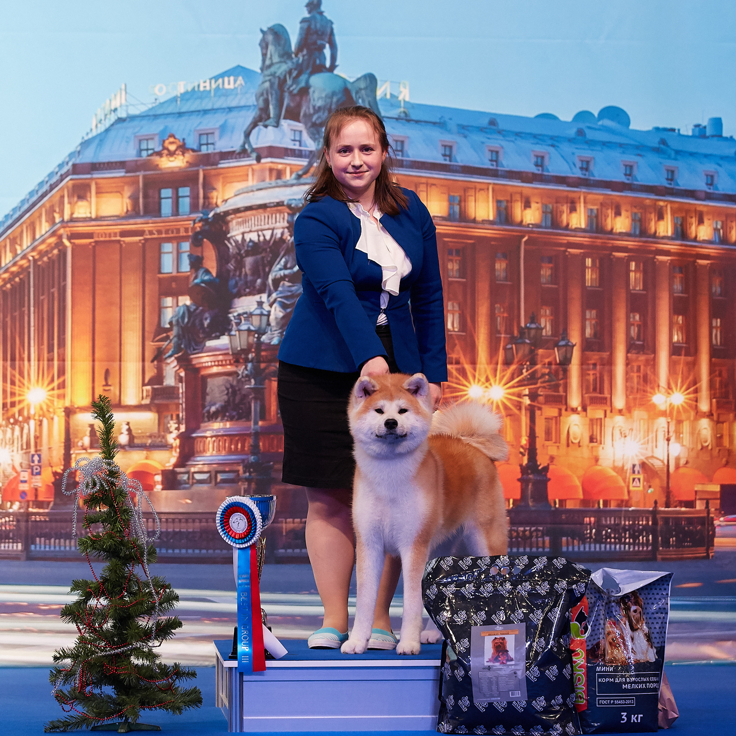 Выпускники питомника. SHIOMARU Питомник сиба и акита-ину