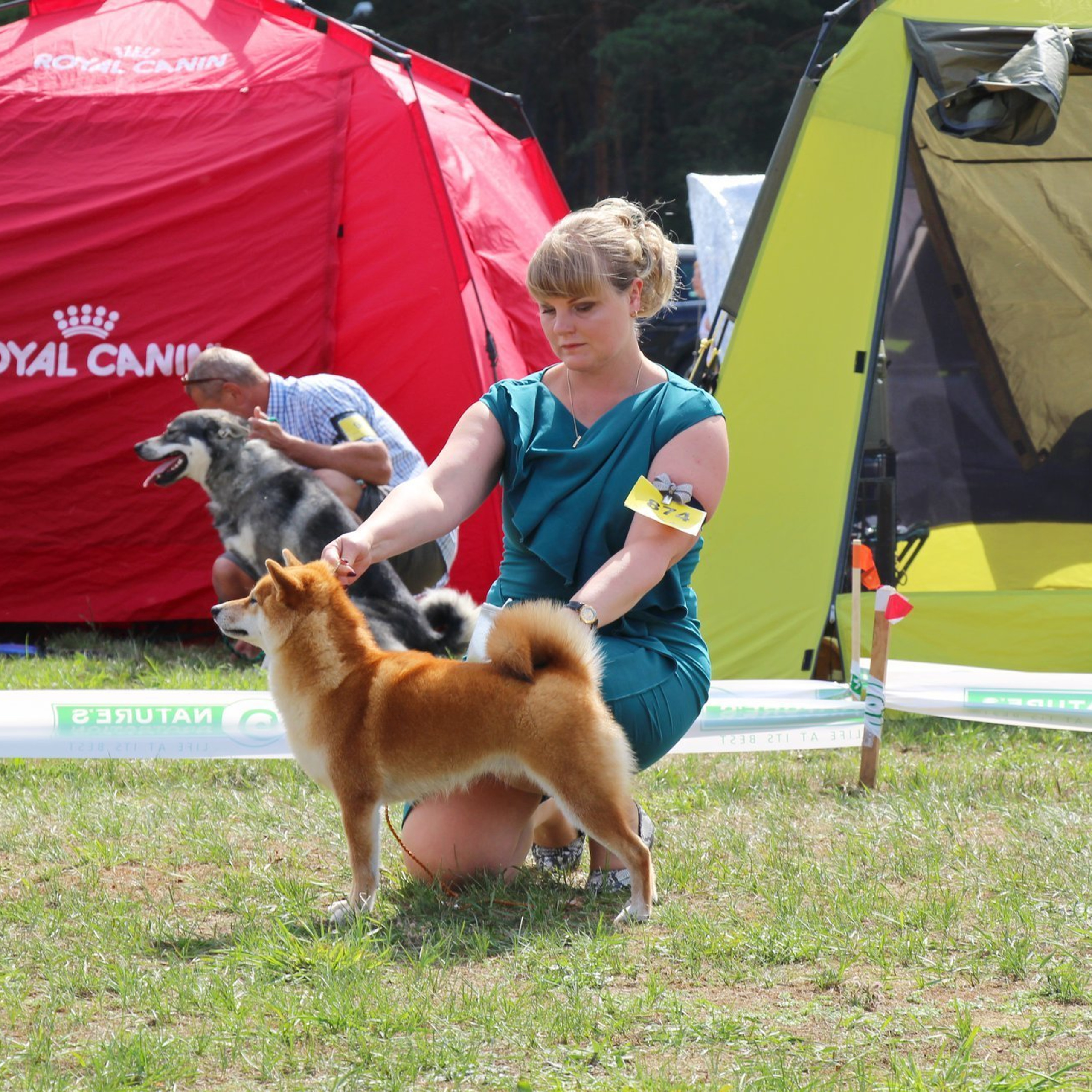 Выпускники питомника. SHIOMARU Питомник сиба и акита-ину