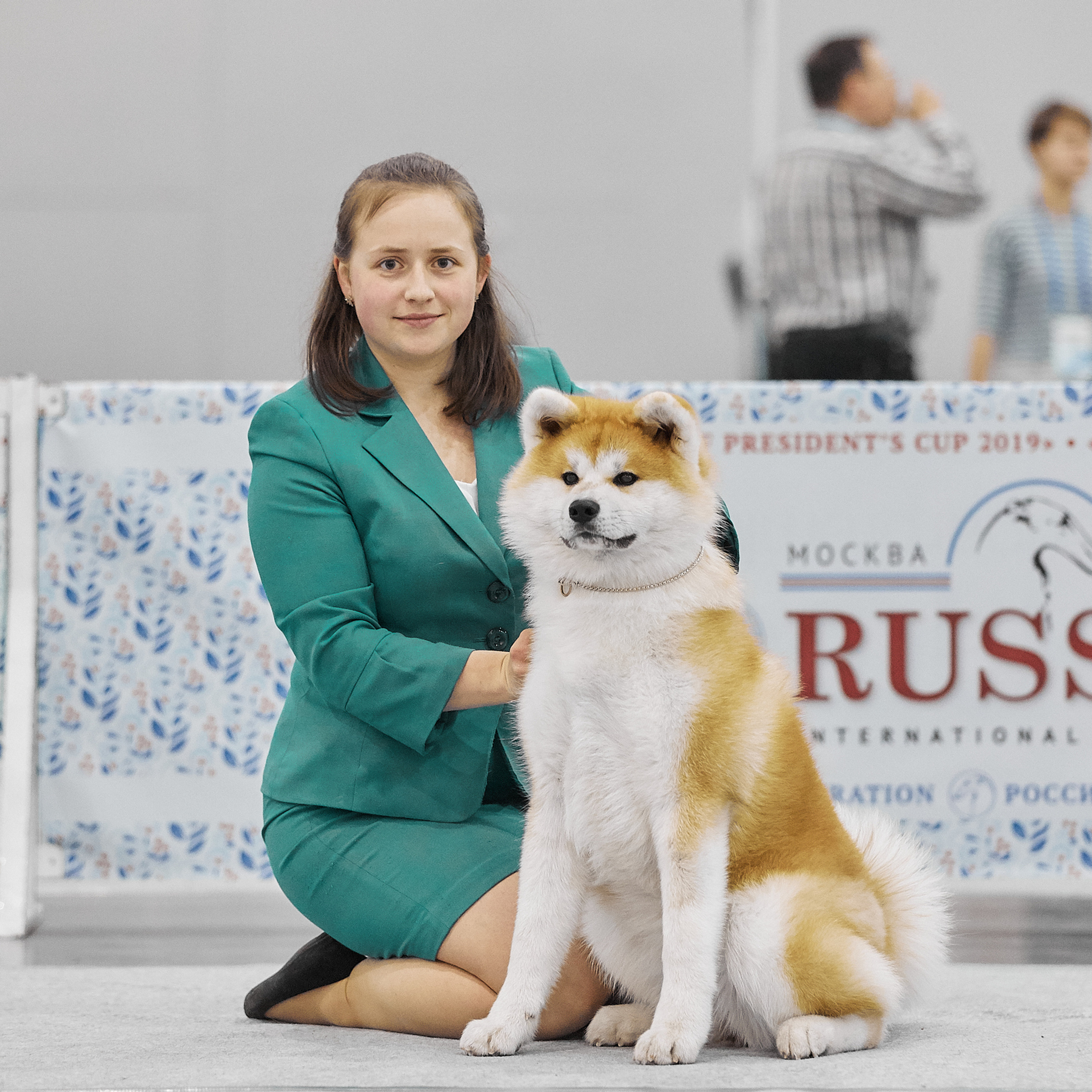 SAEMI GO TOKIMITSU. SHIOMARU Питомник сиба и акита-ину