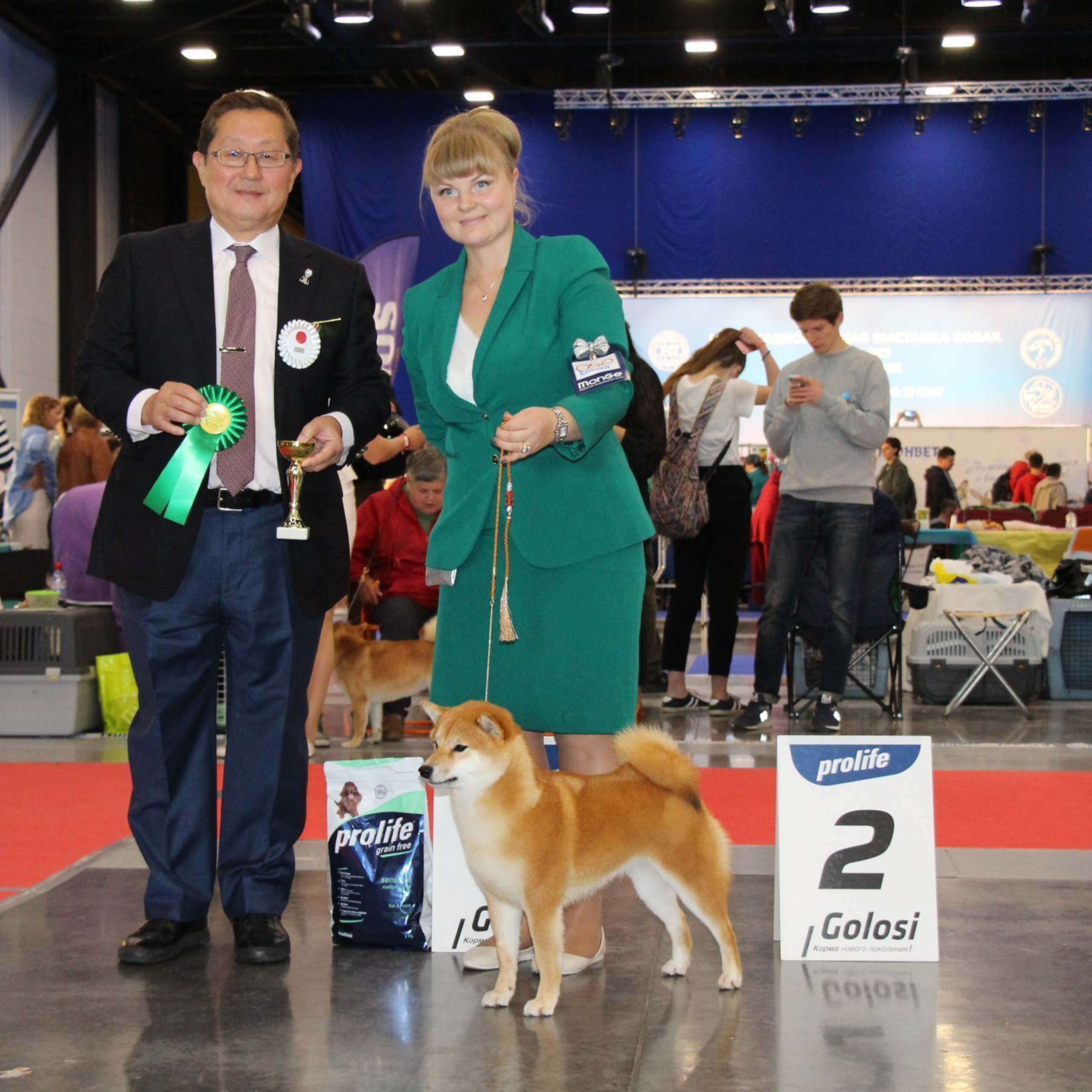 Выпускники питомника. SHIOMARU Питомник сиба и акита-ину