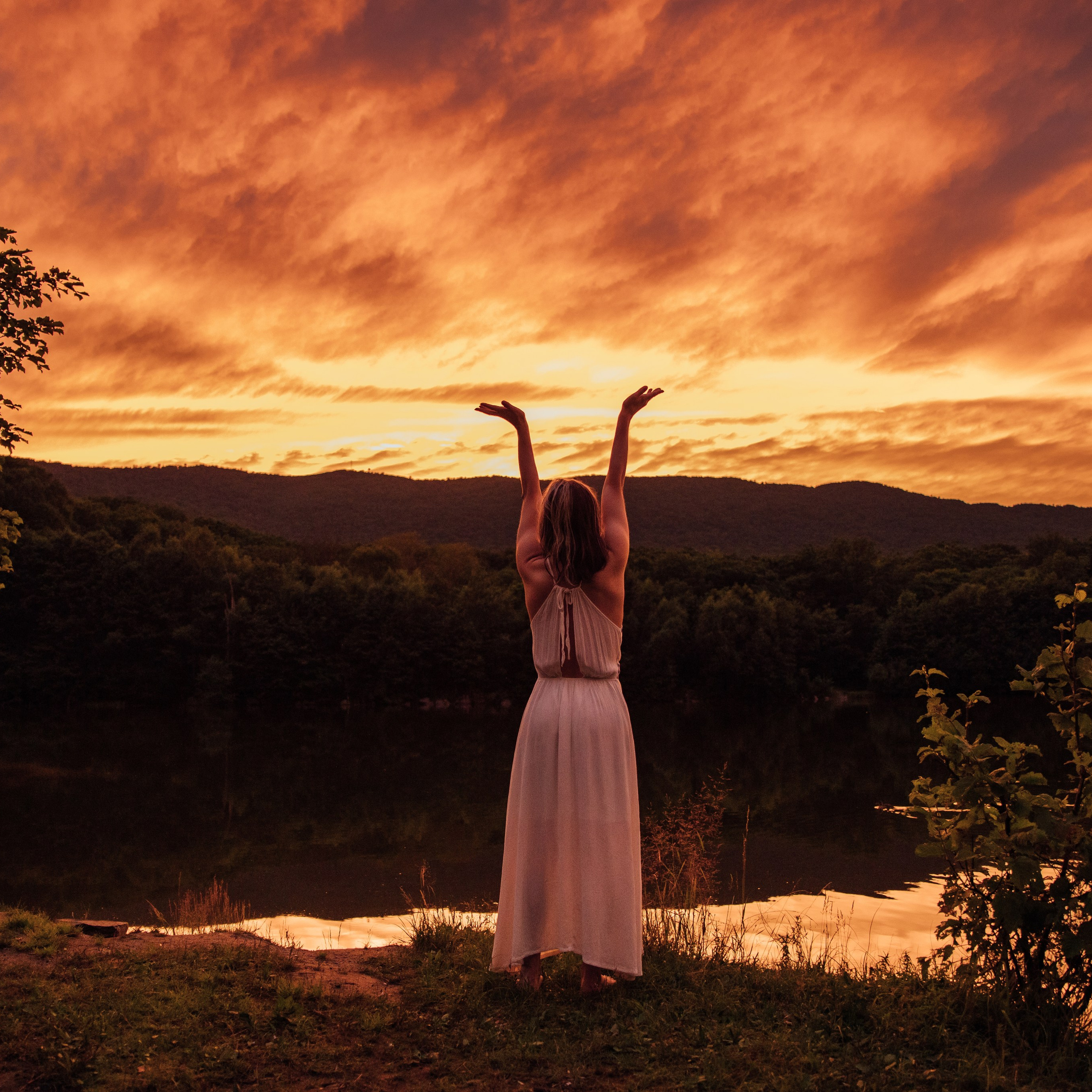 Лесная колдунья